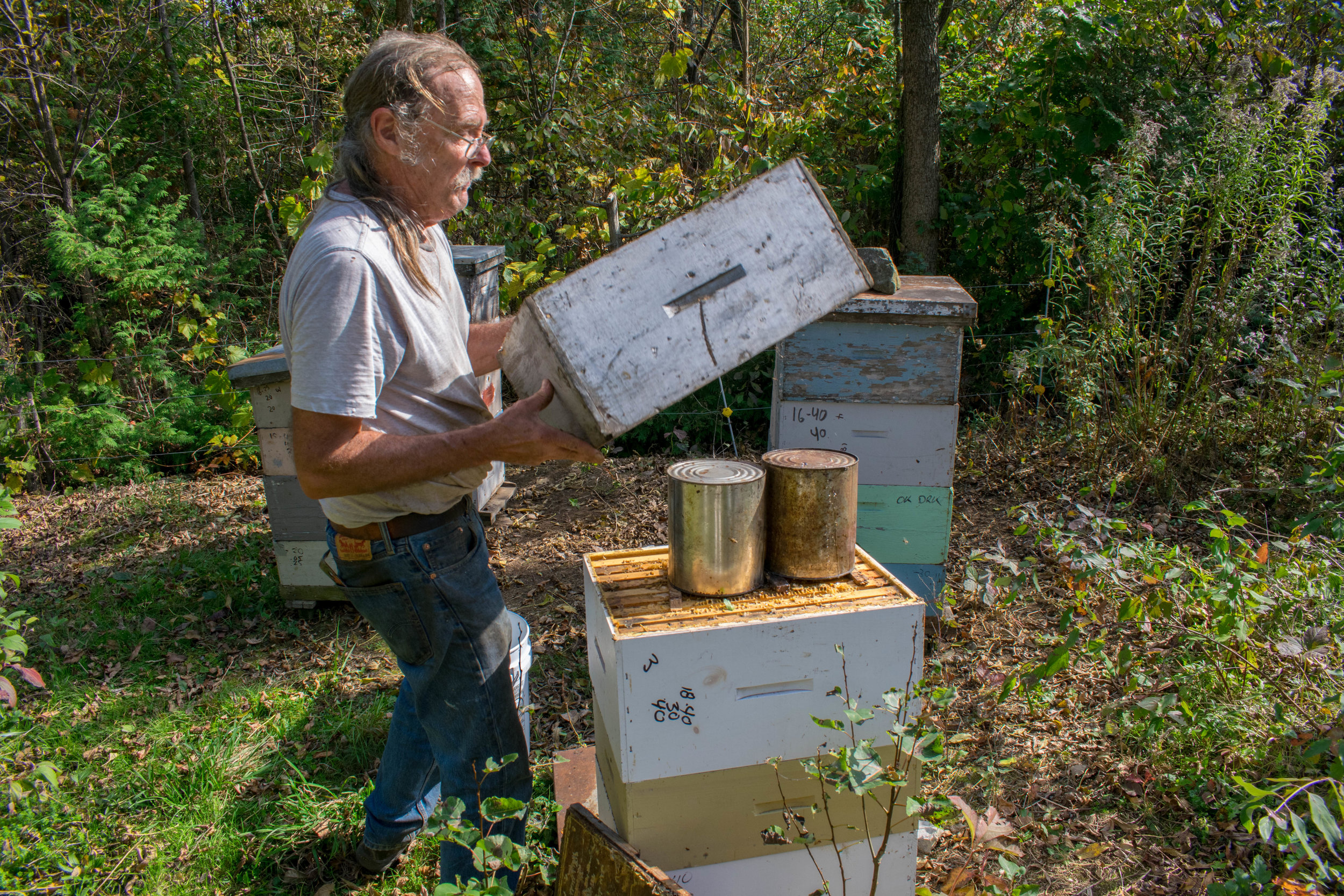 Step 4: A ‘feeder super, and empty hive body, is placed over the cans to close them in and keep robbers out.