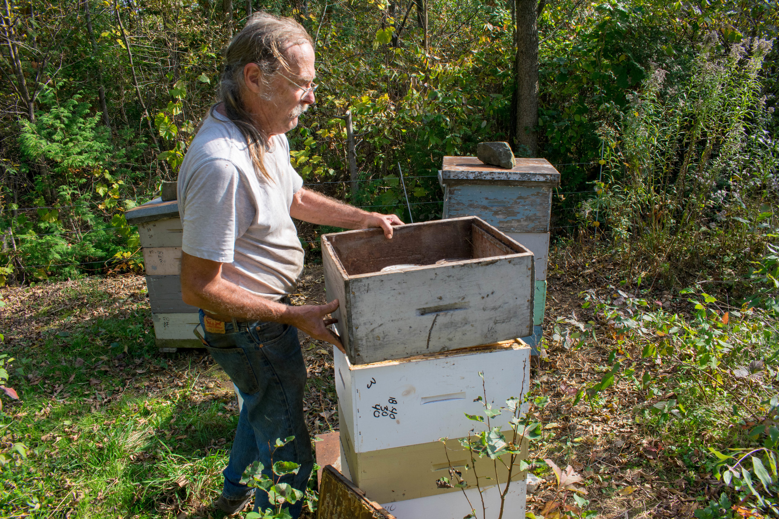Feeding - Mike - 8 - Feeder Box 2.jpg
