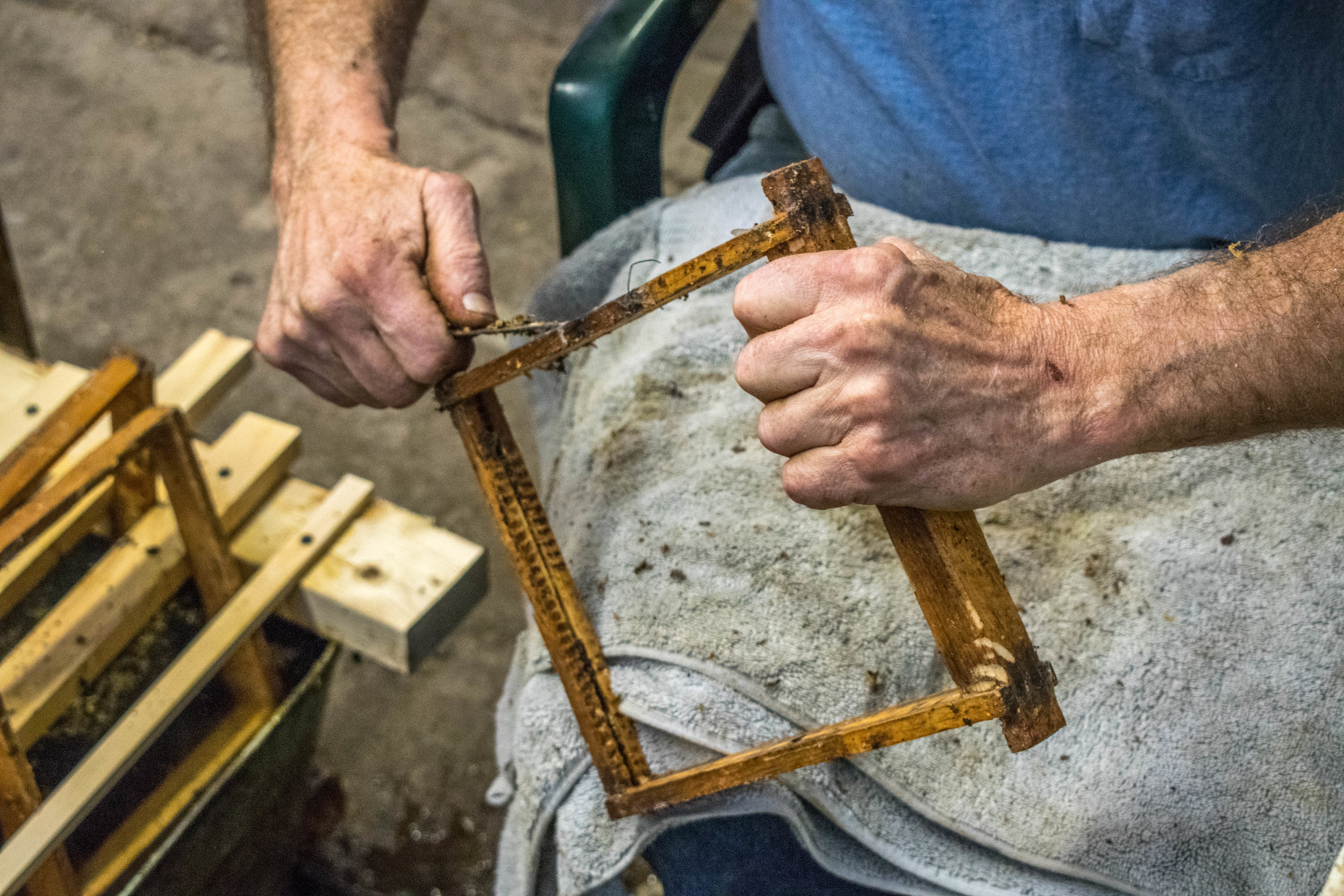 Mike Scraping Mating Frames Close.jpg