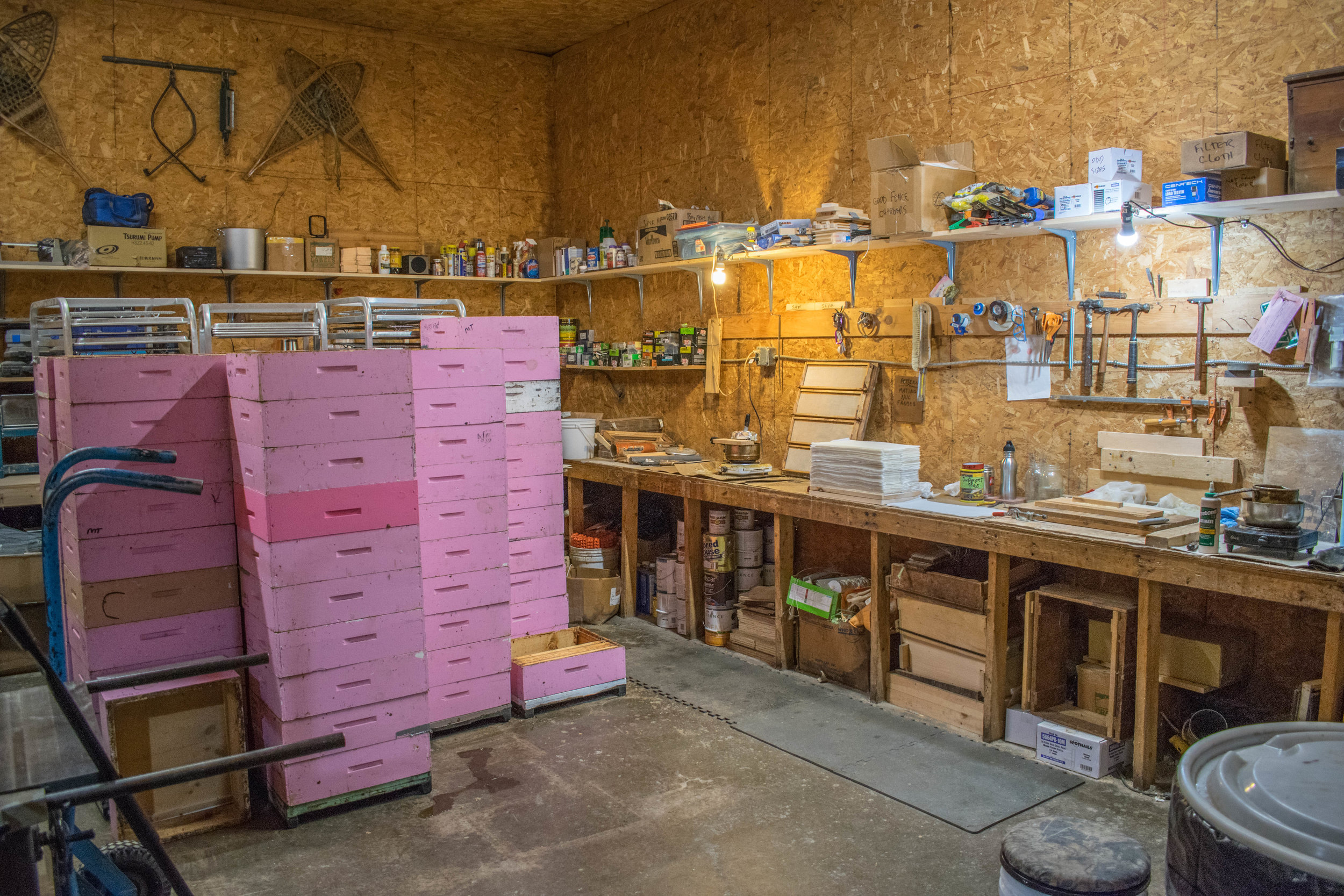 Mike likes to use pink boxes for comb honey. Easier to keep track of in the yards.