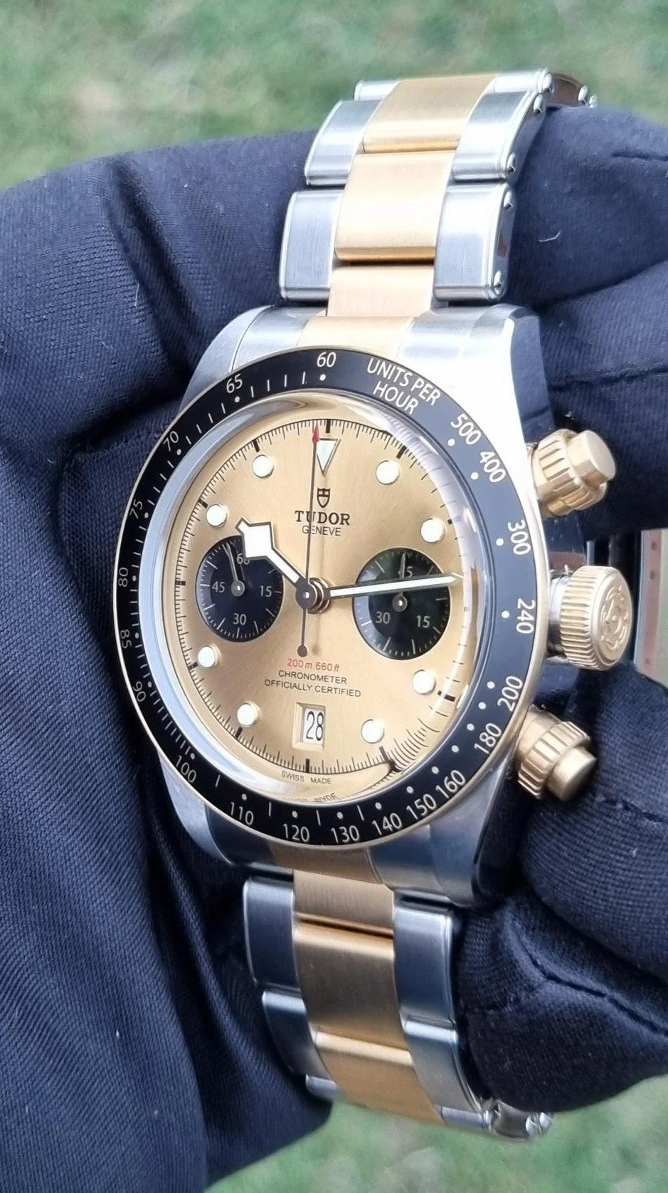 tudor2t8.jpg