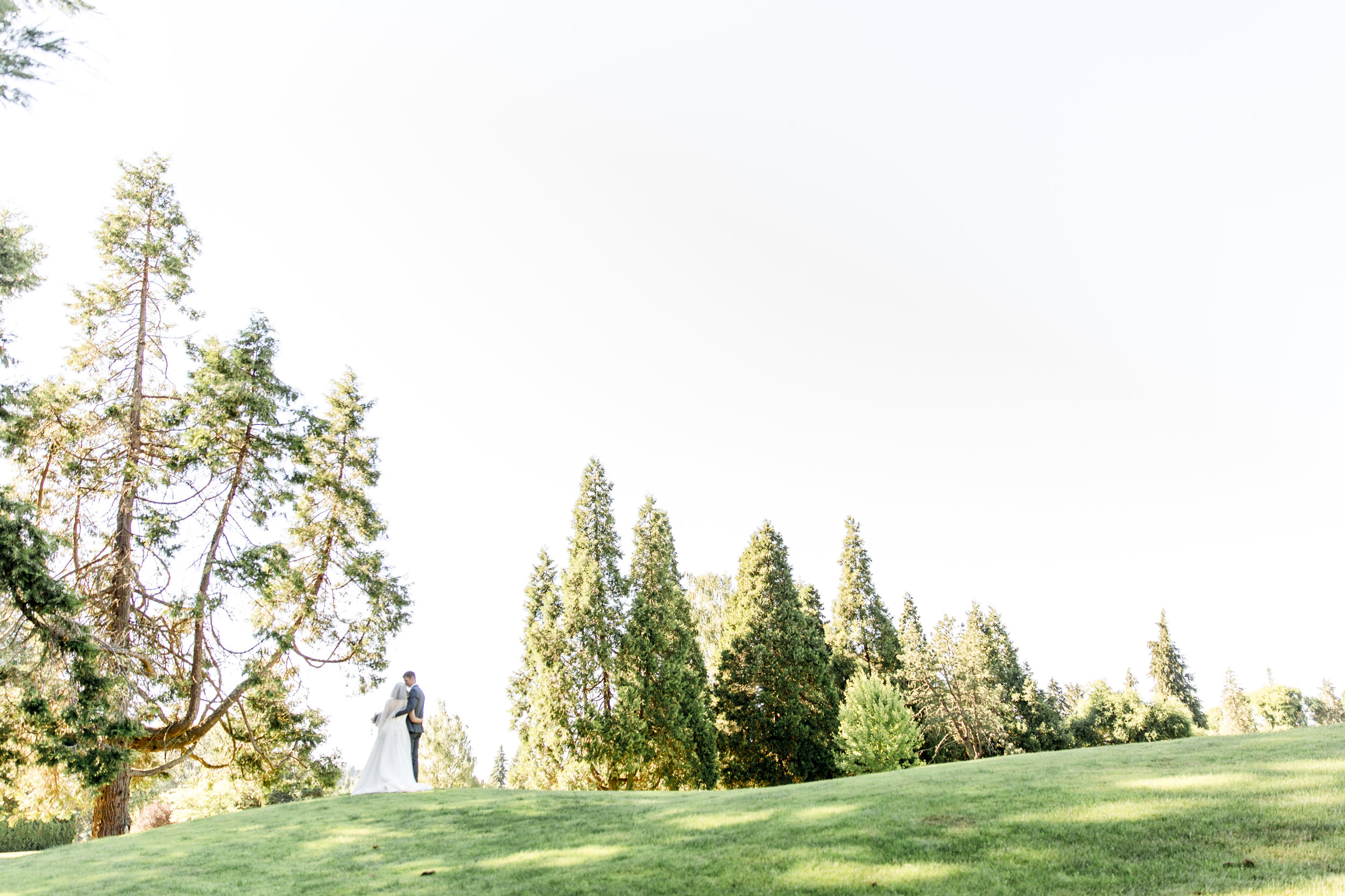 WDP-KatieandNick-496.jpg