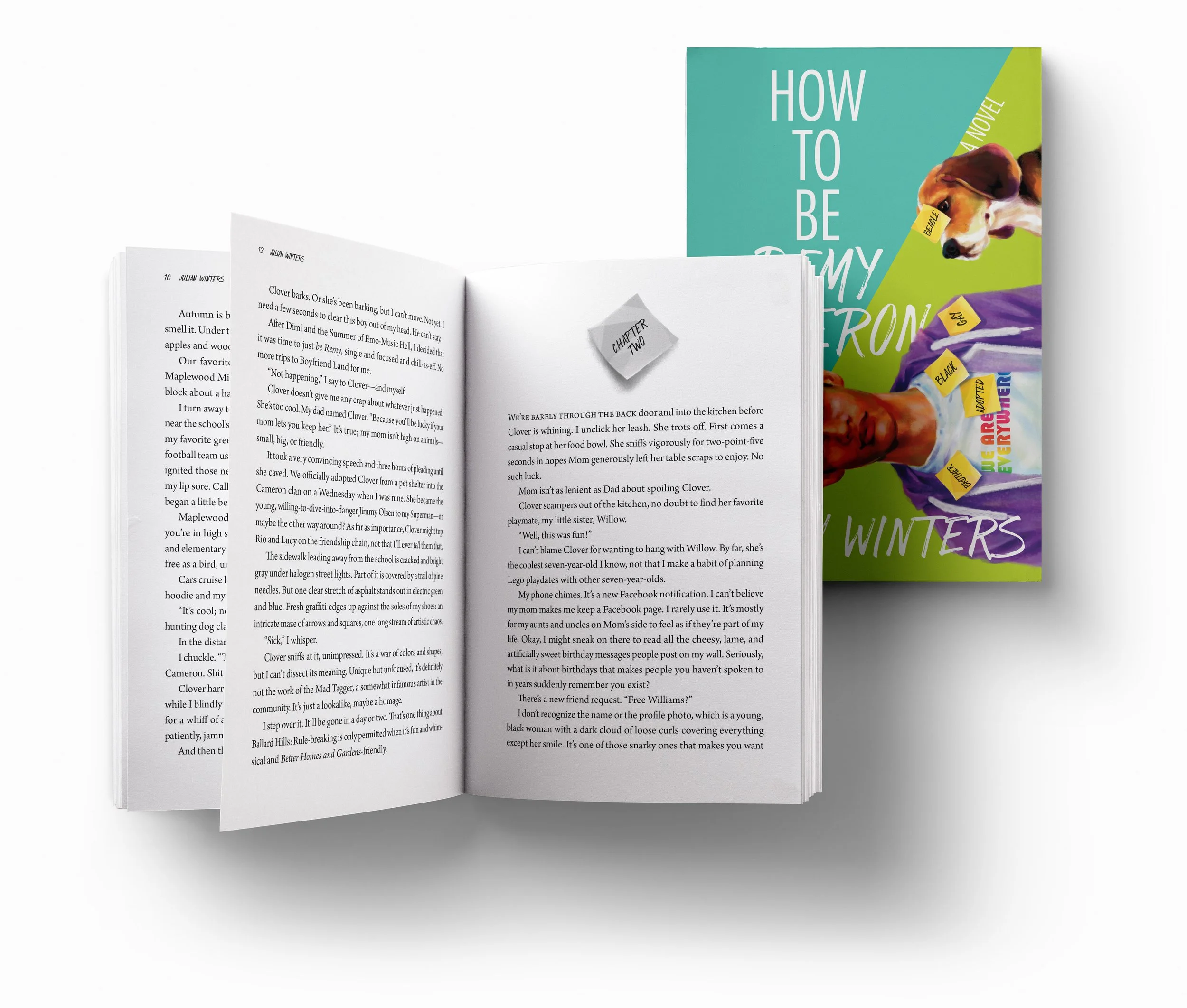 How to Be Remy Cameron_3D Template.jpg