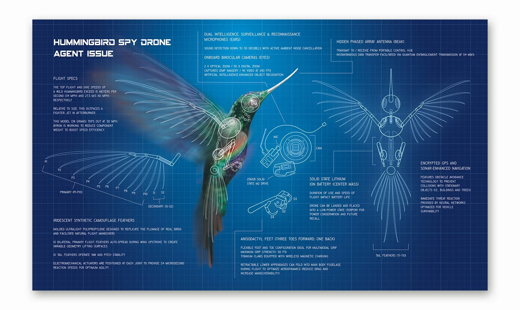 Hummingbird Blueprint_20240919_web.jpg