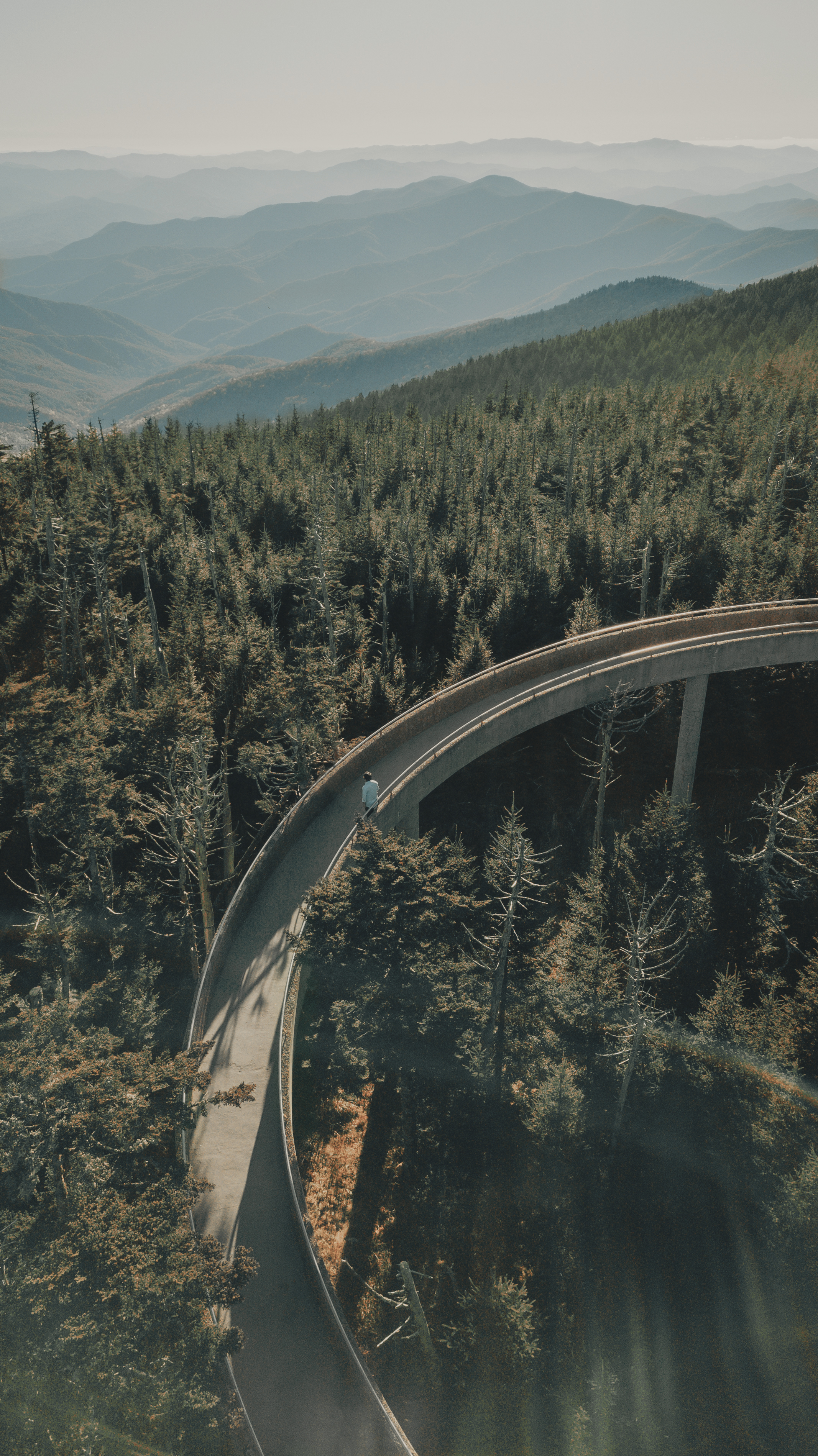 Surviving is not the same as Living.