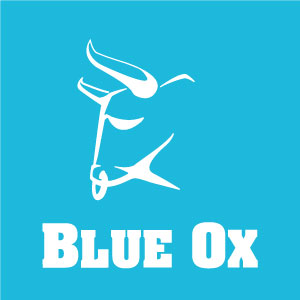 Blue Ox Broomball