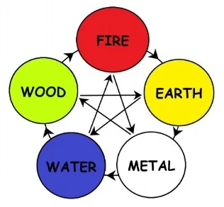 5 Elements Personal Trainer Crows Nest.jpg