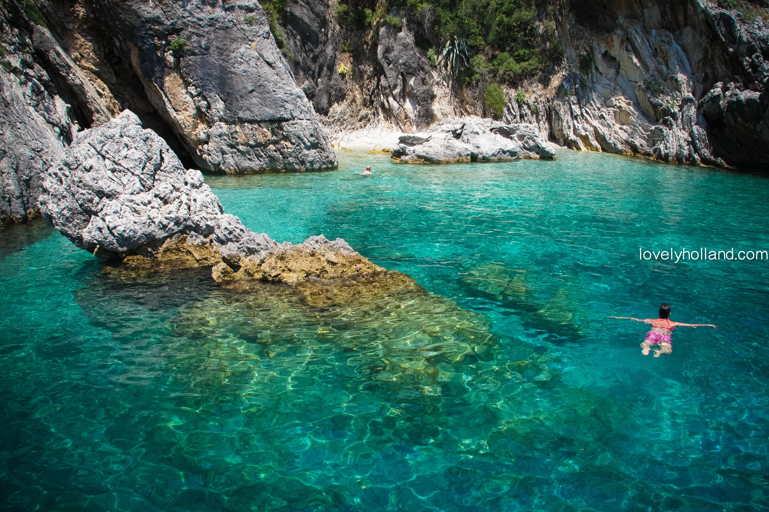 船熄掉引擎後，大家可以跳進清澈見底的水裏游泳