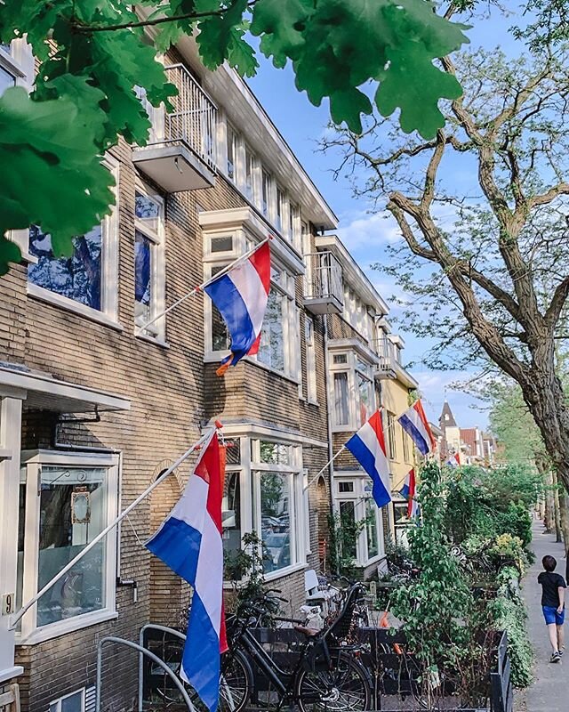 Yesterday was the most special King&rsquo;s Day ever, no party no crowd, most people stayed at home.
.
We had a stroll in the afternoon, gorgeous wisteria is blooming. The &quot;purple waterfall&quot; and Dutch flag is everywhere. .
.
昨天是有史以來最不一樣的國王節