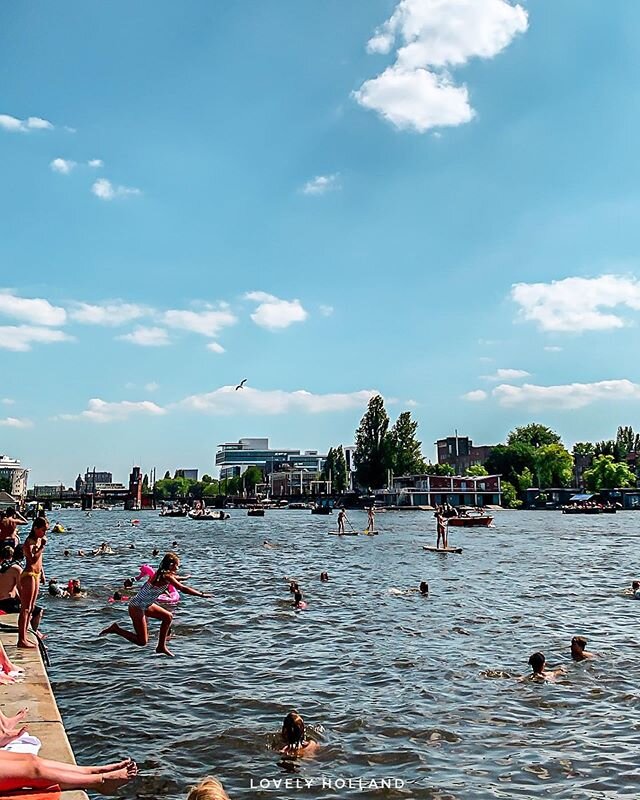 夏天，就是要跳到河裡消暑啊！Swimming in the wild water in Amsterdam.