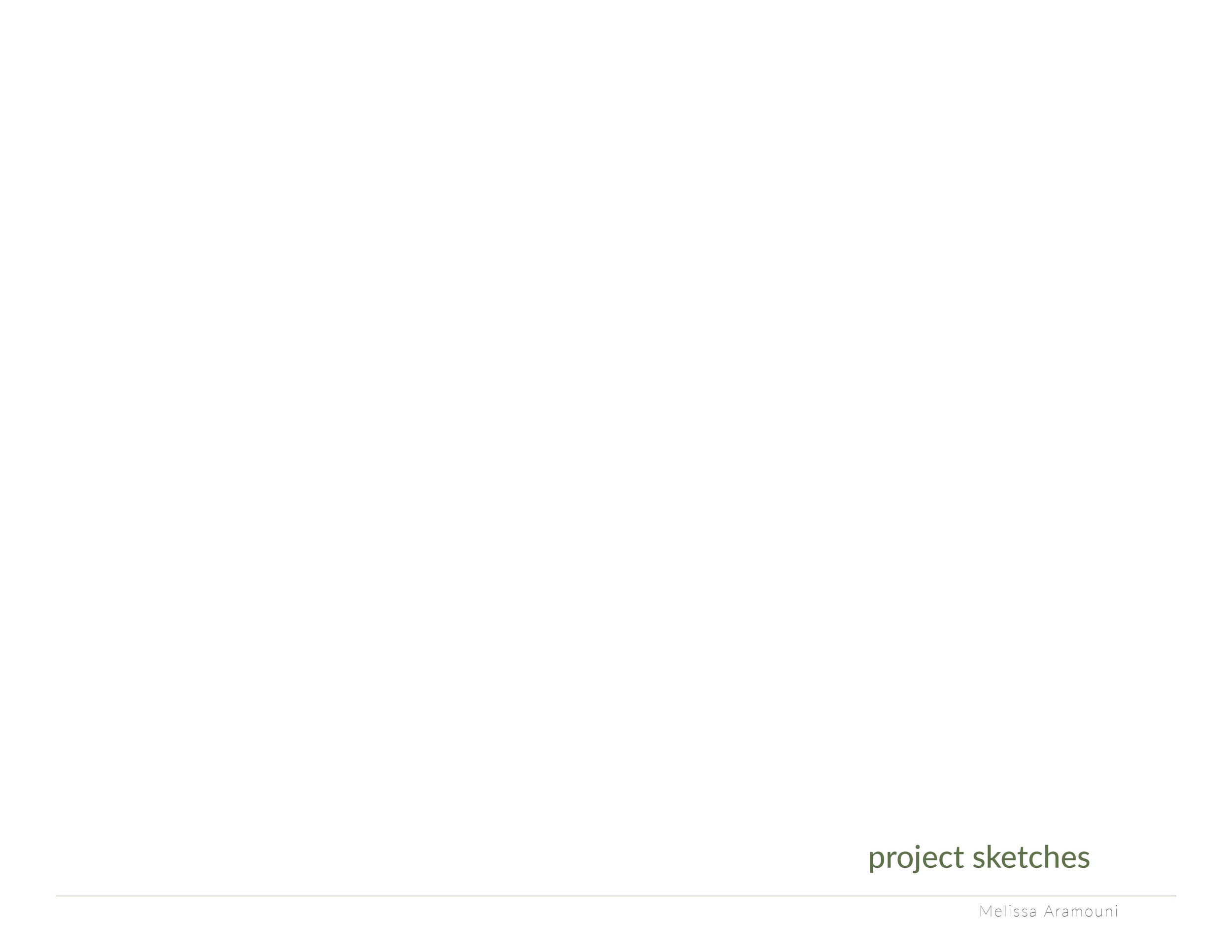 aramouni_process_selfmailer12.jpg