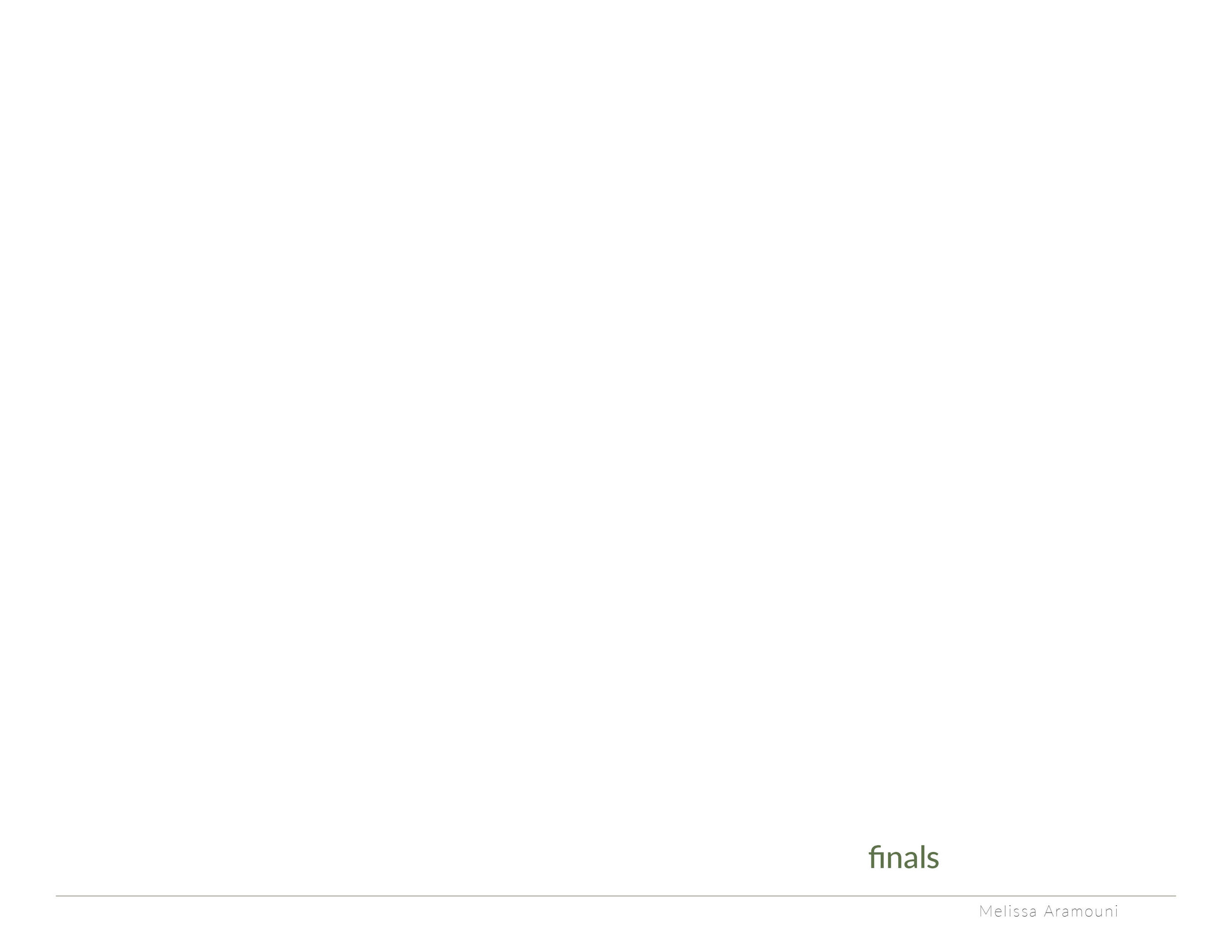 aramouni_process_selfmailer19.jpg