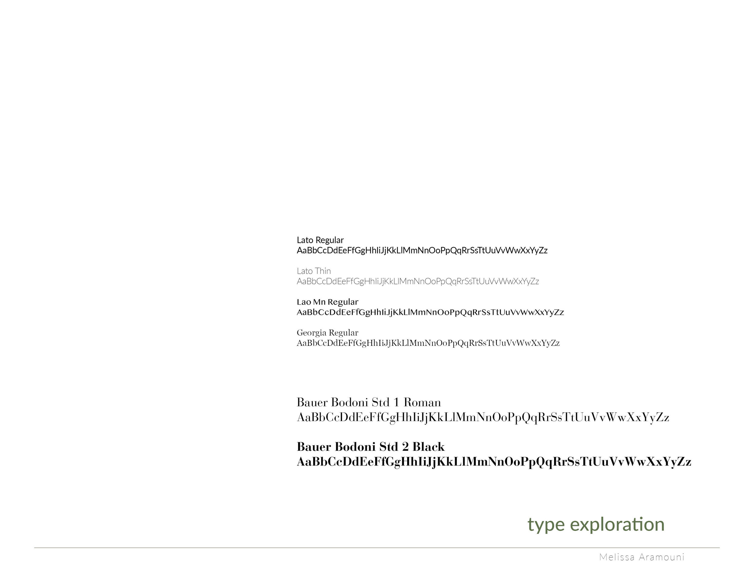aramouni_process_selfmailer10.jpg