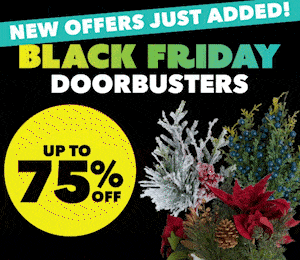 20241128_black_friday_pics_stems_bushes_header_seasonal.gif