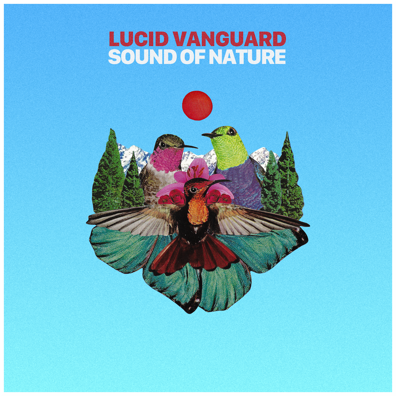 Sound of Nature - Lucid VanGuard