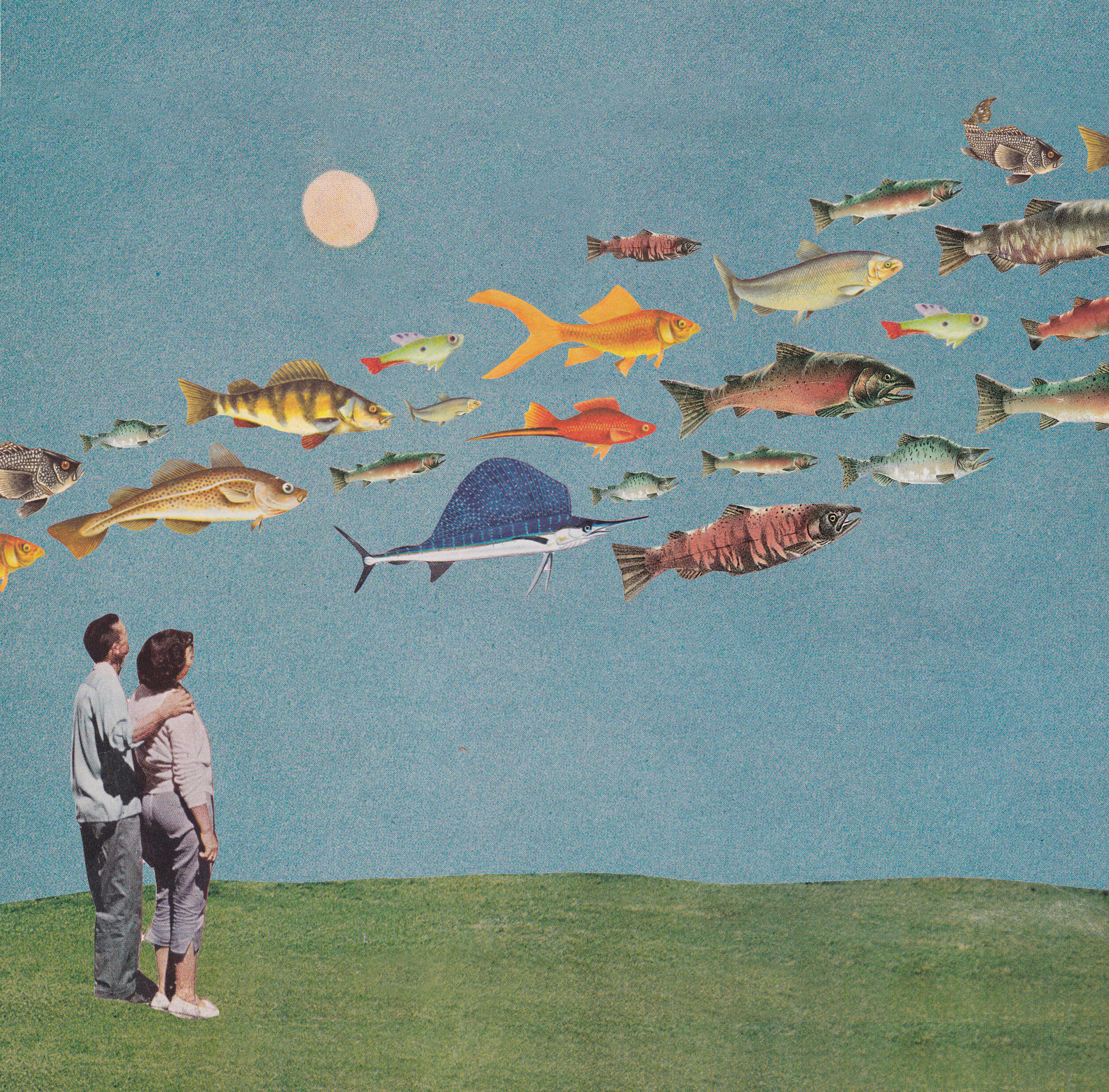 skyfishsmaller.jpg