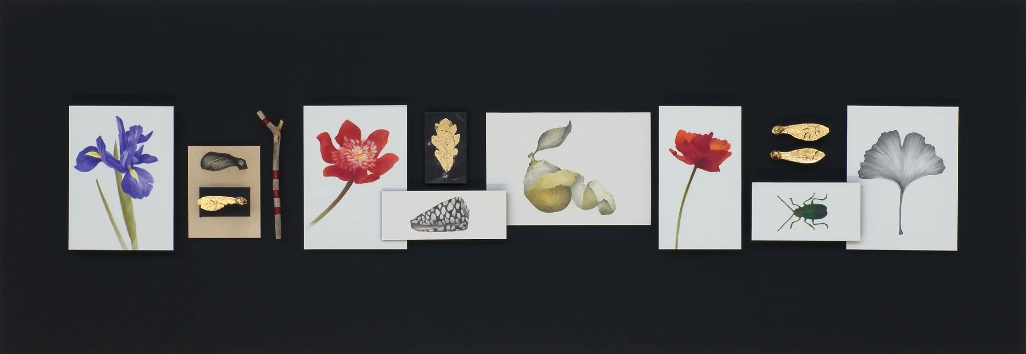 Dutch Masters Deconstructed - Scene 1