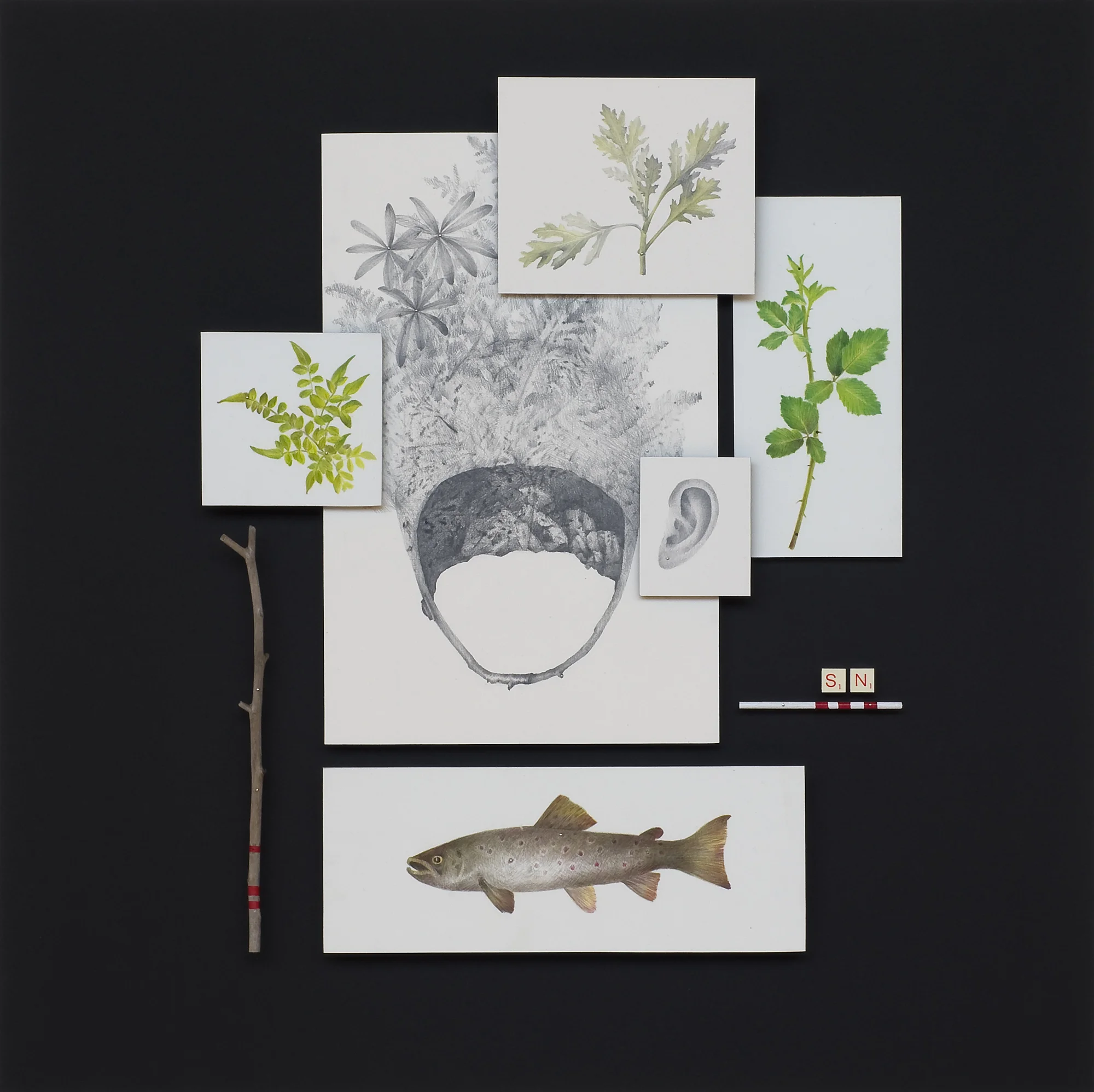 Swimming Lesson One - Becoming Landscape