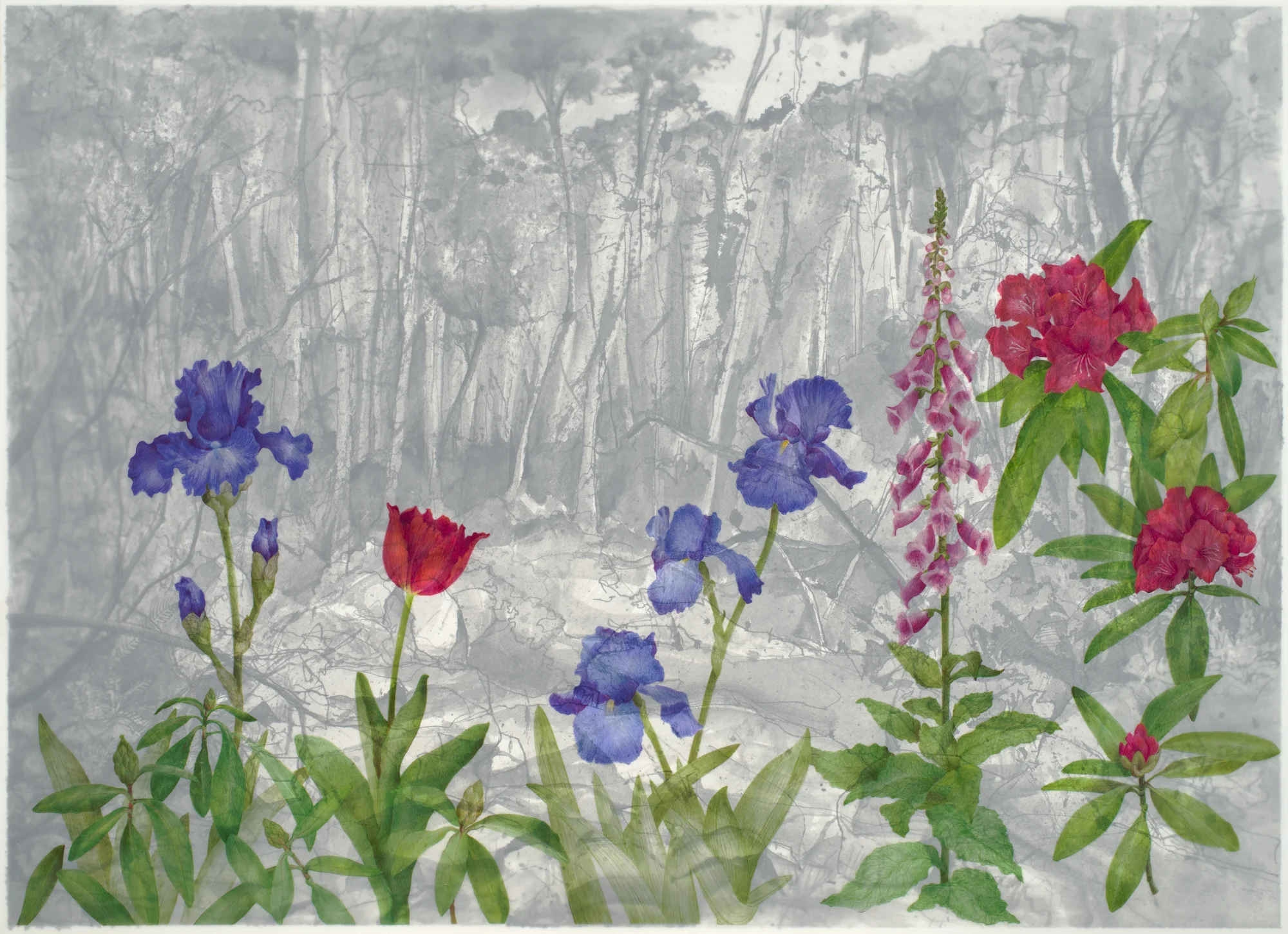 Landscape Overlay
