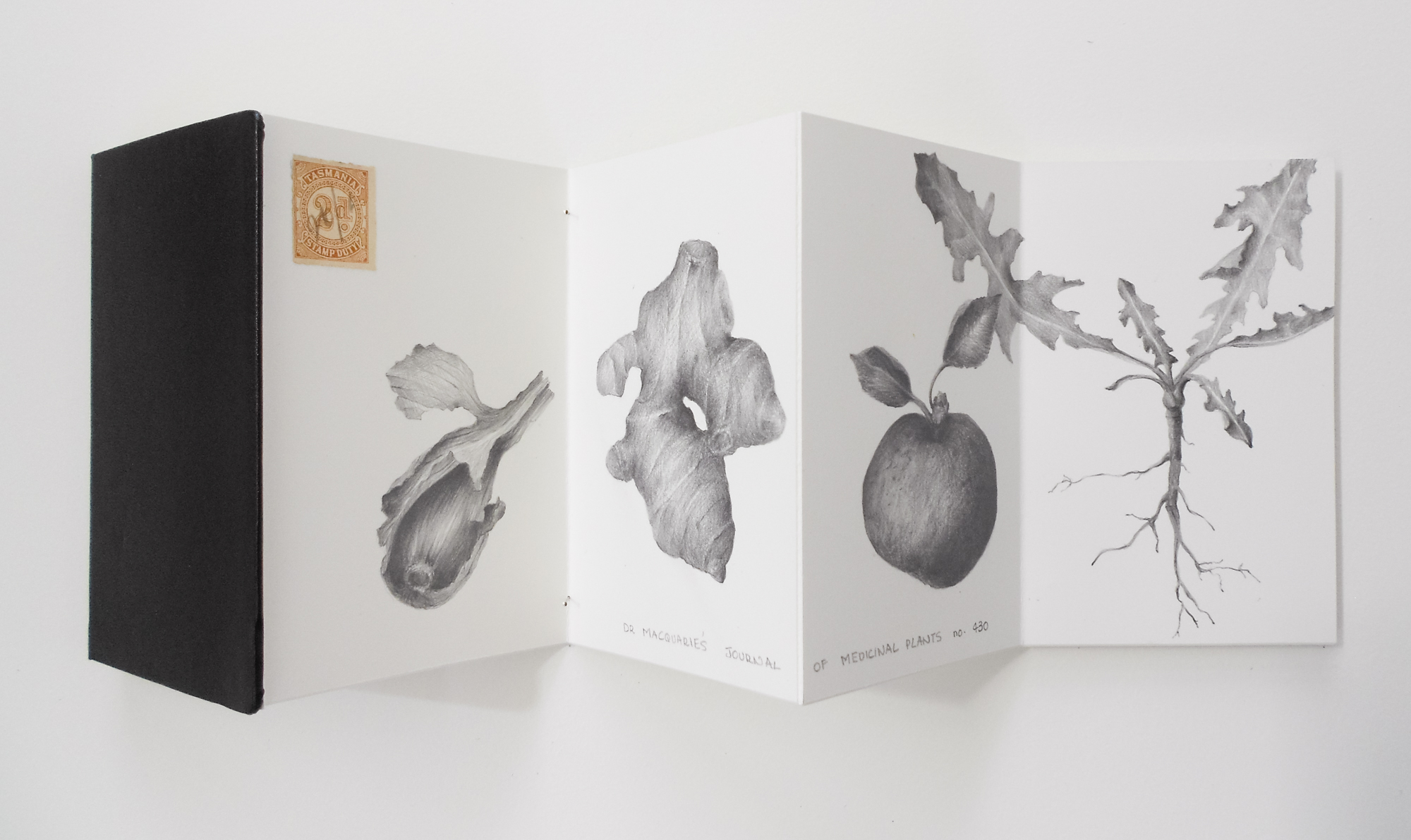 Dr Macquarie's Journal of Medicinal Plants