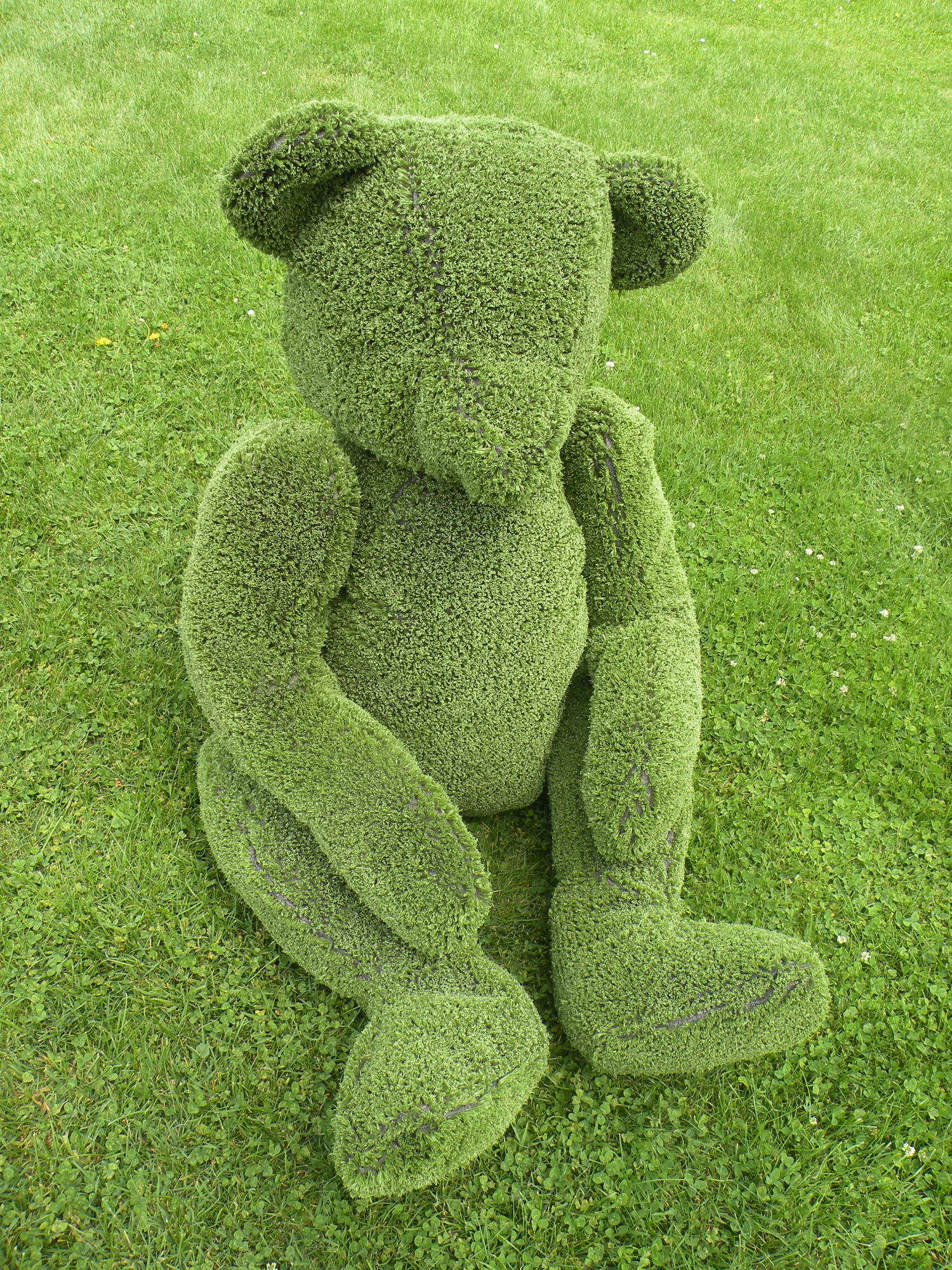 Topiary Ted