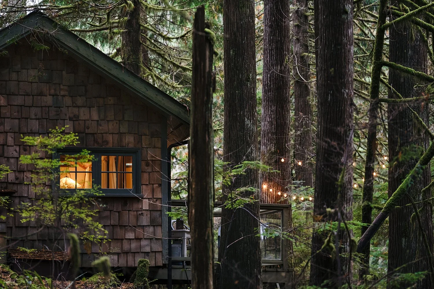 Ariana Flynn Airbnb Photography Fraser Valley (9).jpg