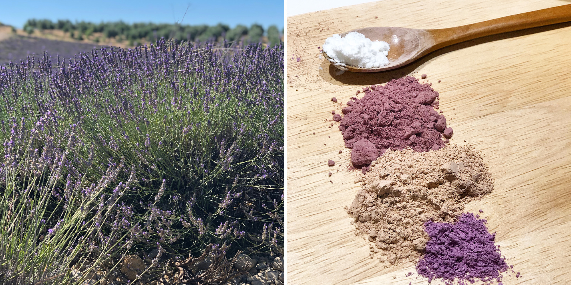ingredient.png