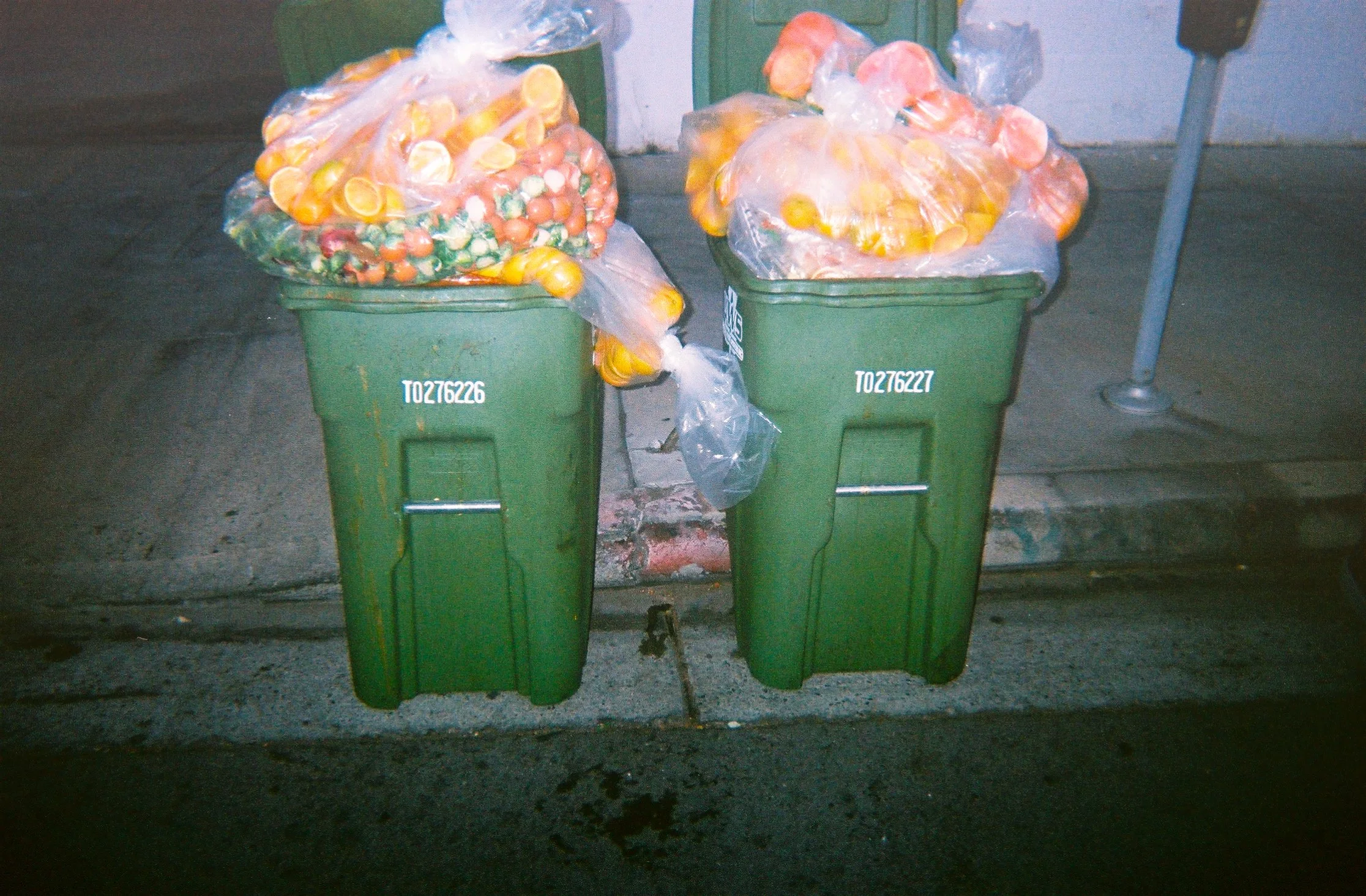 BAD_DOG_LA_ZOE_ZAG_LOS_ANGELES_56.jpg