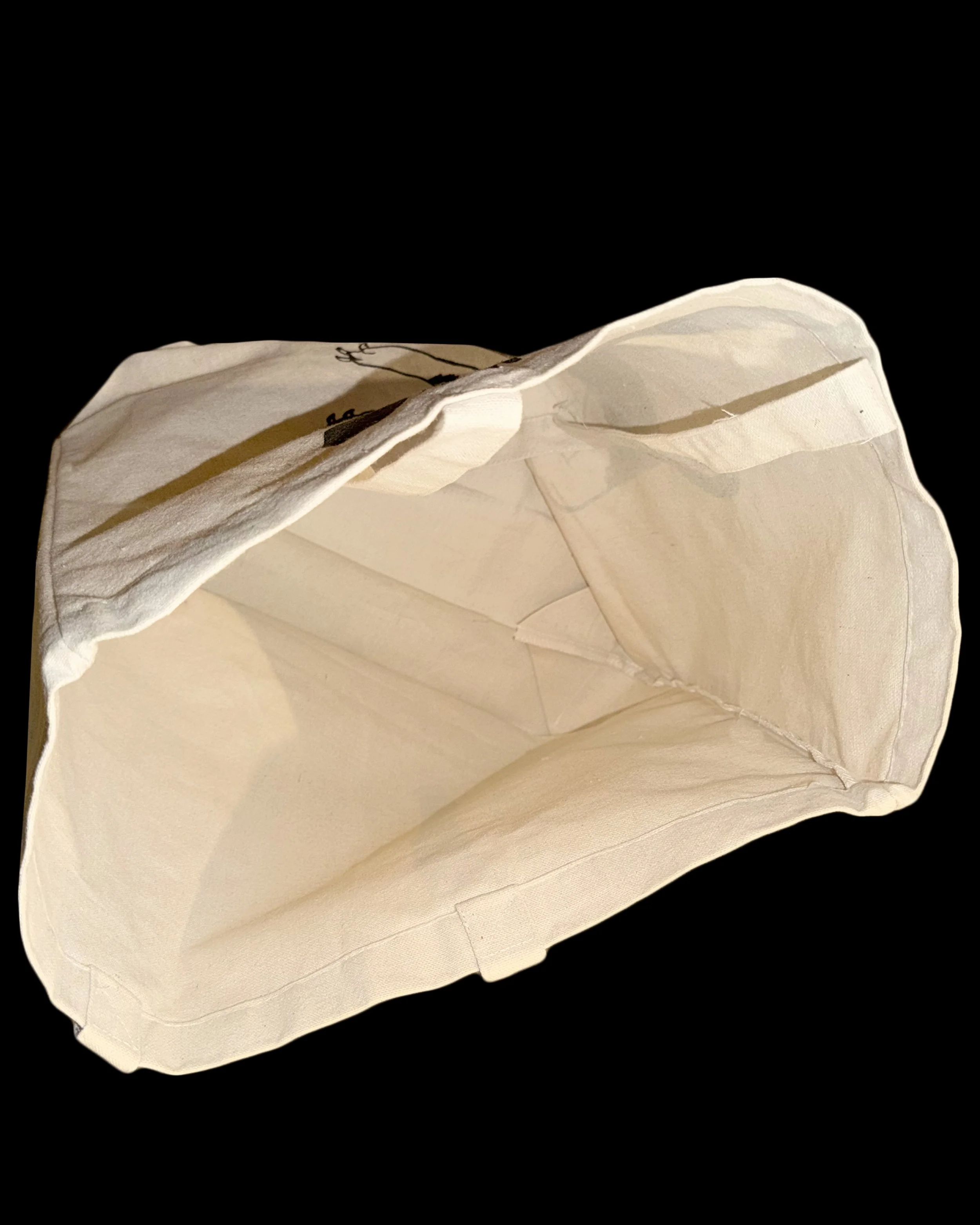 laisbadbag.jpg