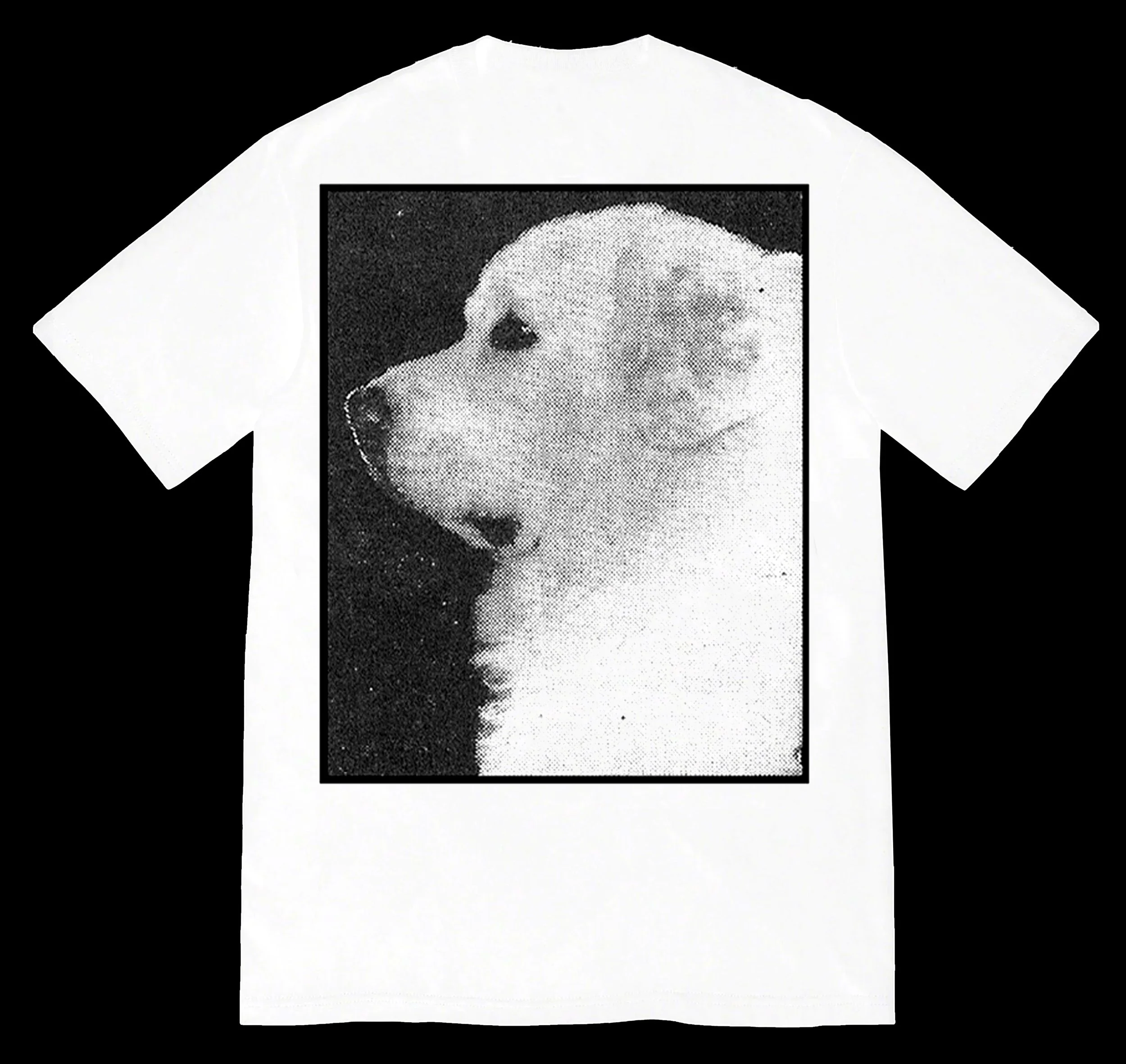 !d3bad_dog_la_zoe_zag_punk_dog copy.jpg