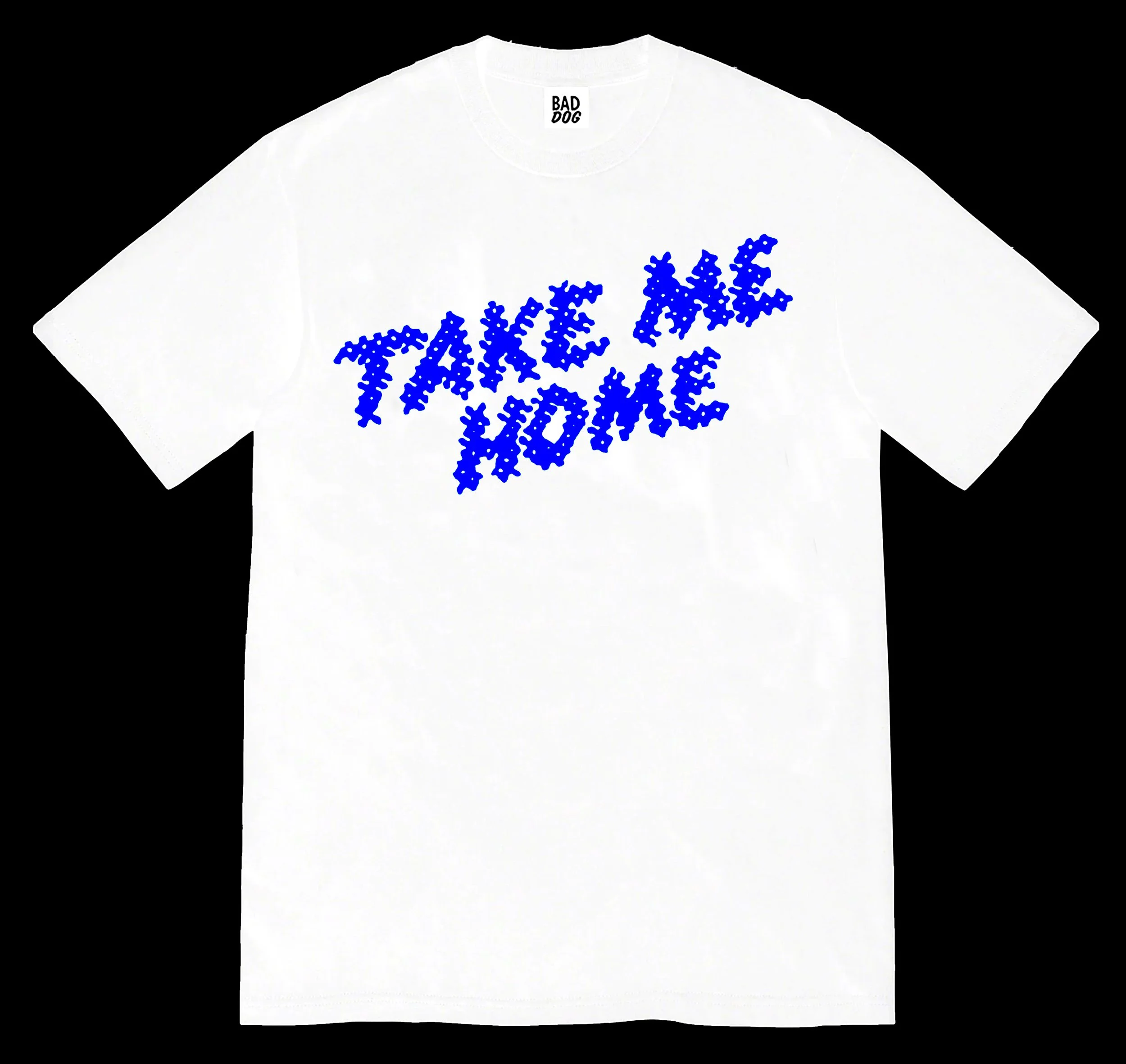 TAKE ME HOME
