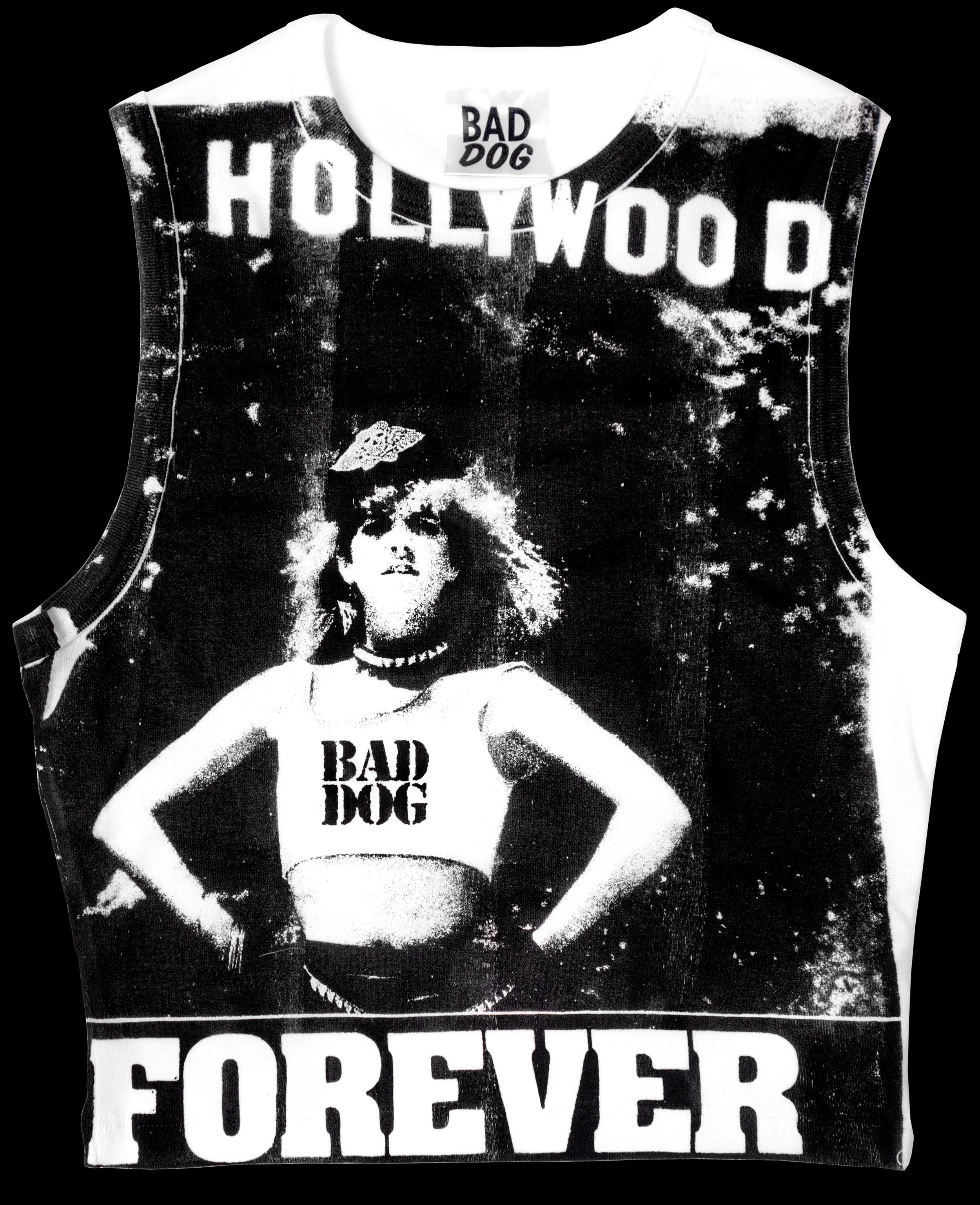 HOLLYWOOD FOREVER TANK