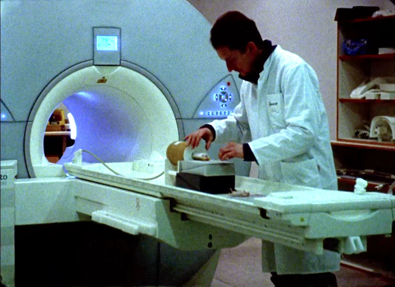 still from the movie