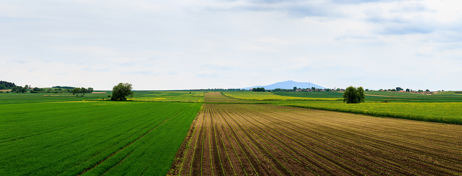  Agriculture and Horticulture 