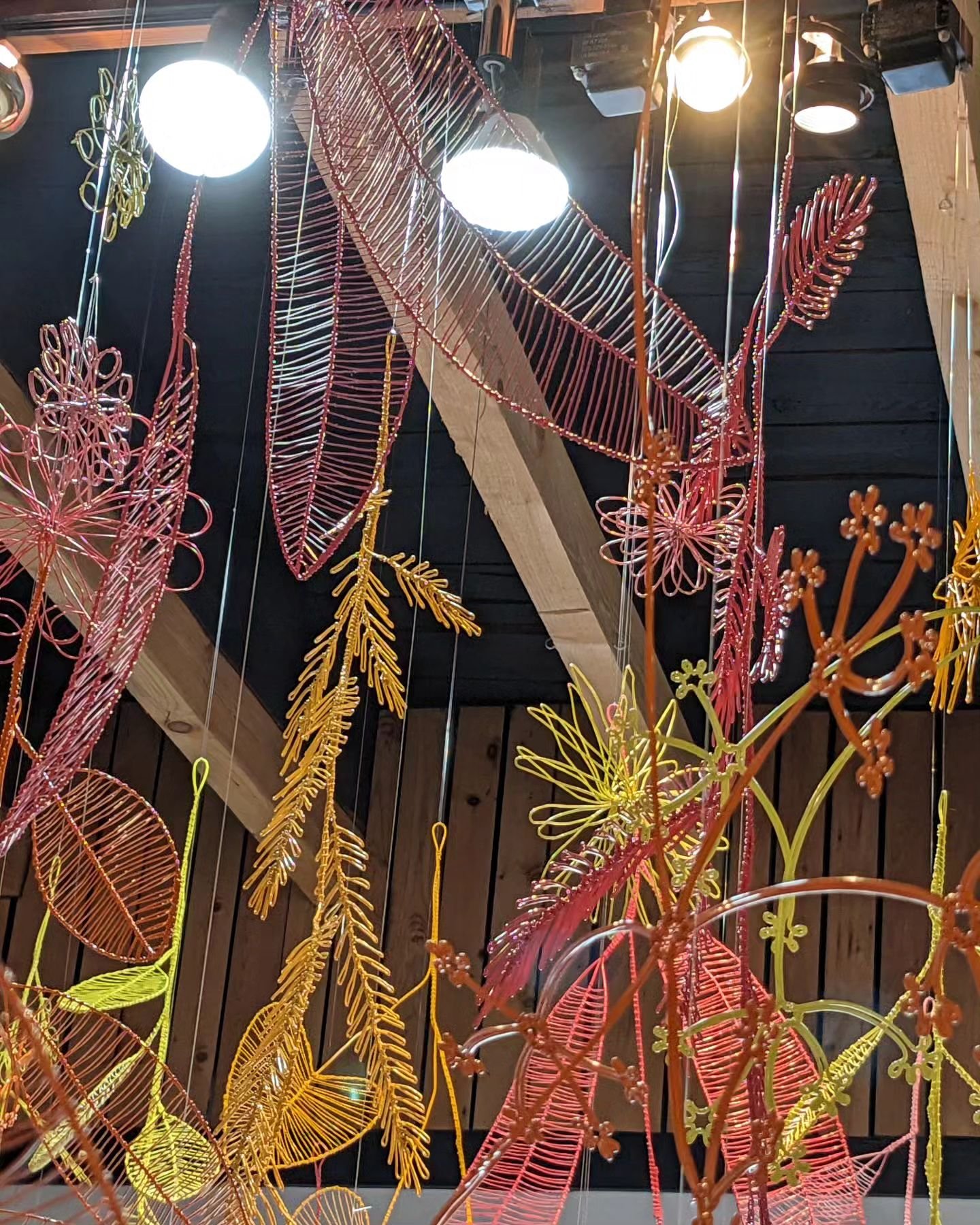 New exhibition at Deep Water Gallery, Wiarton. Very beautiful!

#amandamccavour. #deepwatergallery  #wiarton #brucepeninsula