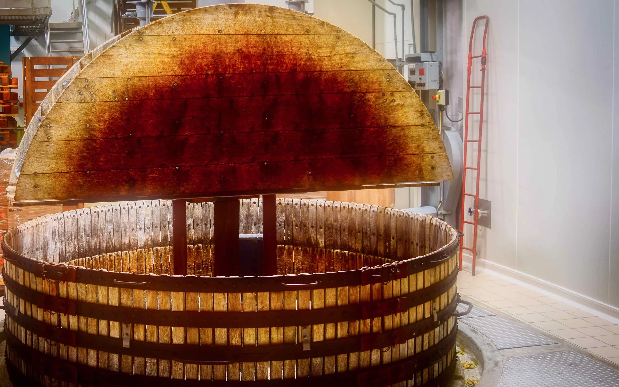 DSC_0611 hdr glam.jpg