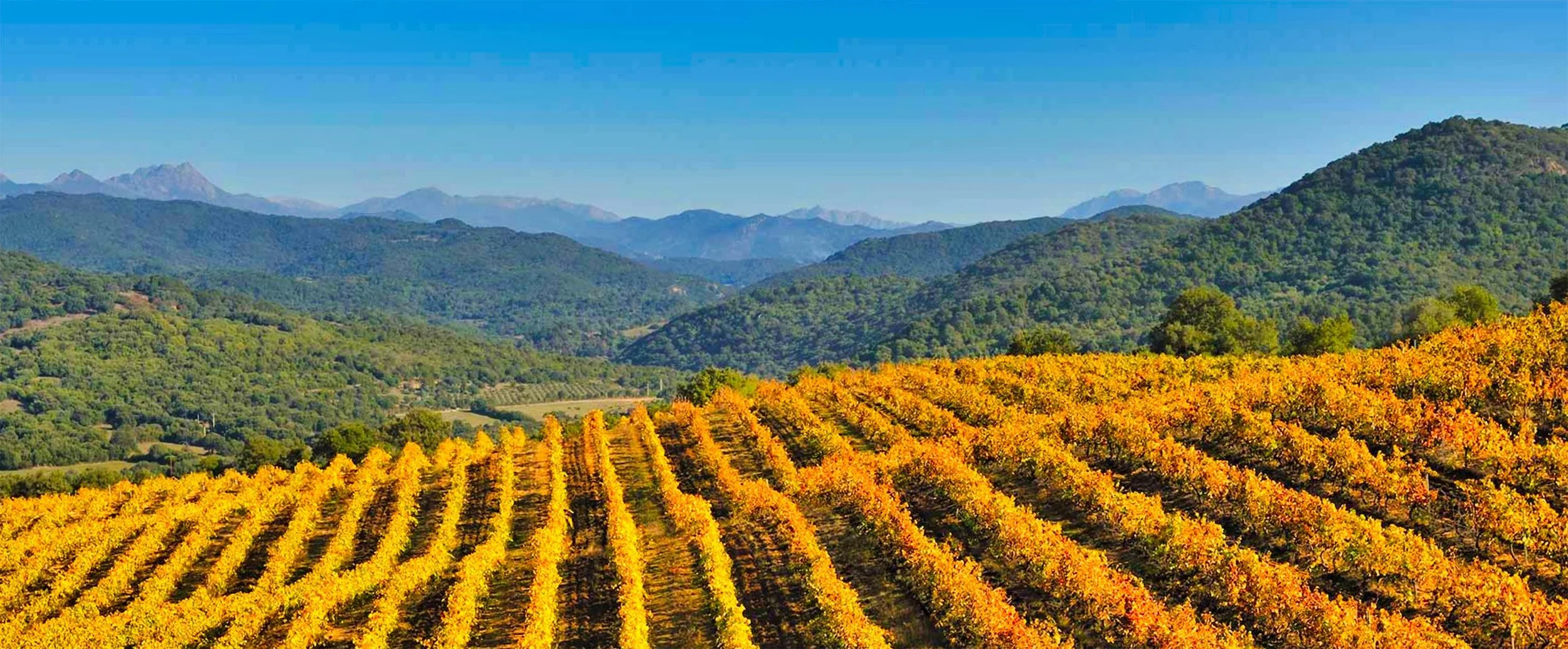 Abbatucci Landscape.jpeg