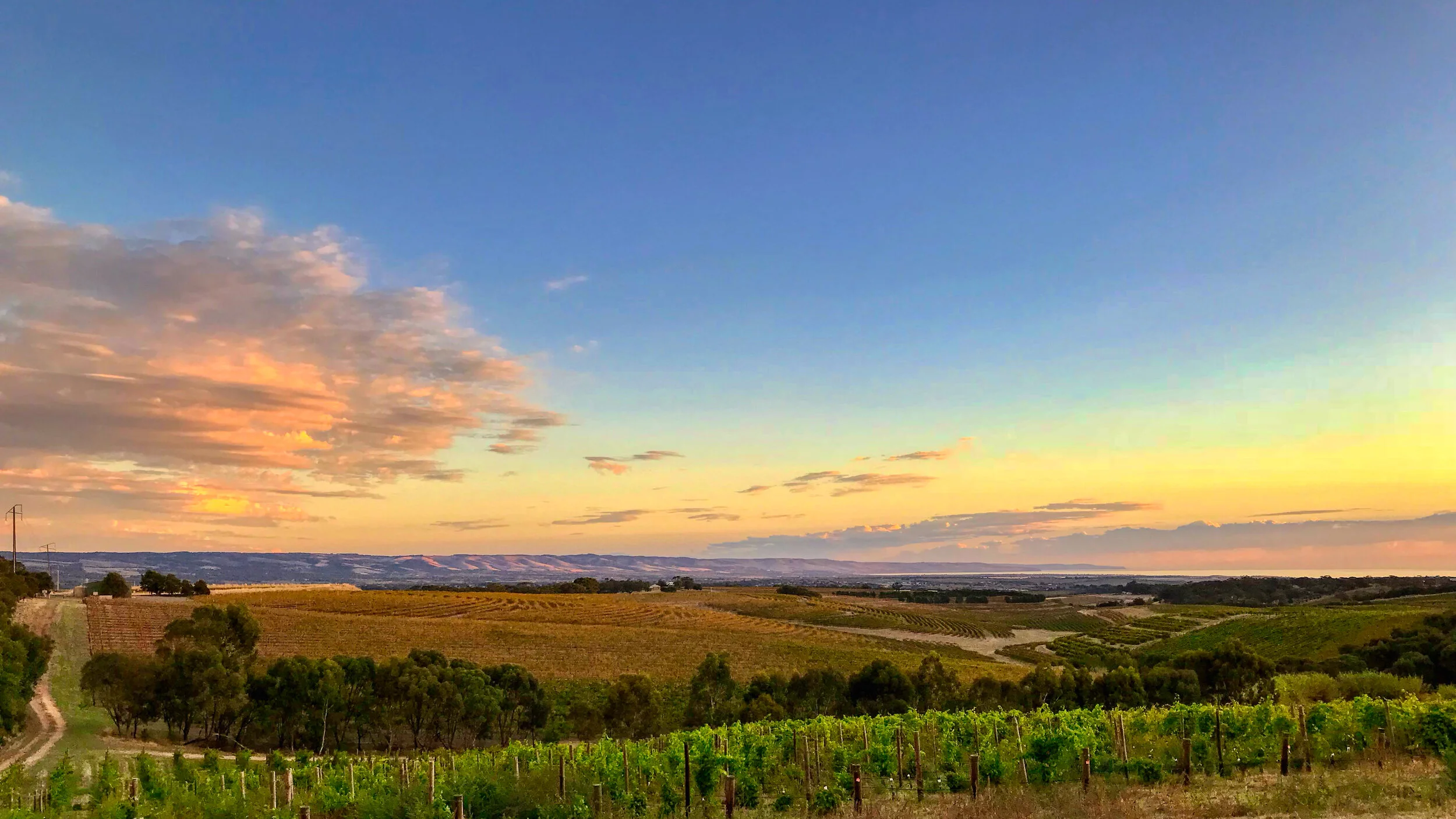 IMG_3682 (1) 16-9AI.jpeg