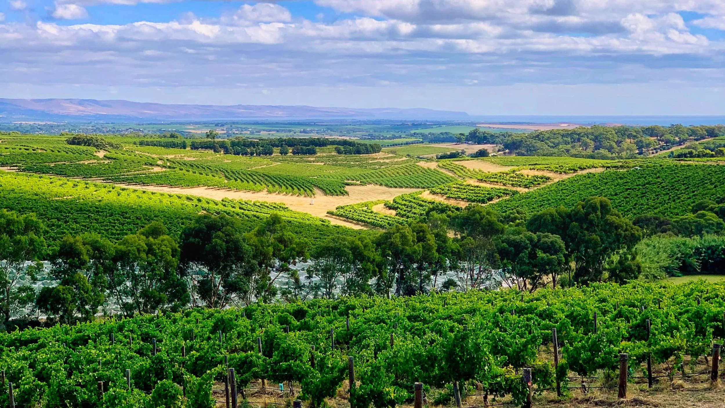 IMG_4916 -1 16-9 luminar sunset s.jpeg