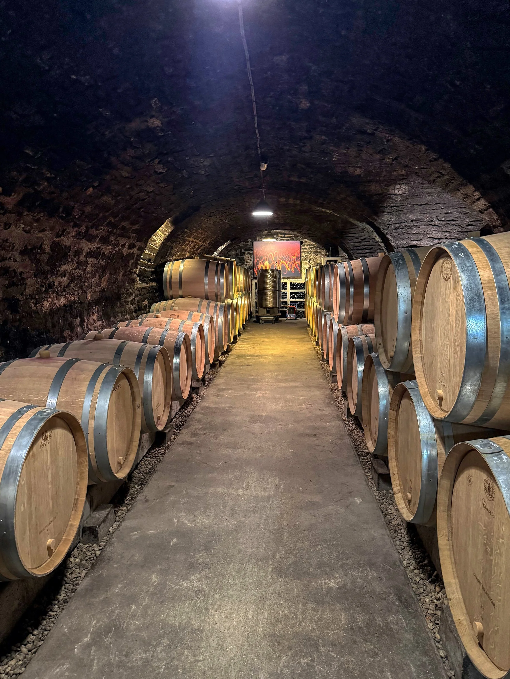 IMG_8465 edit aurora.jpeg