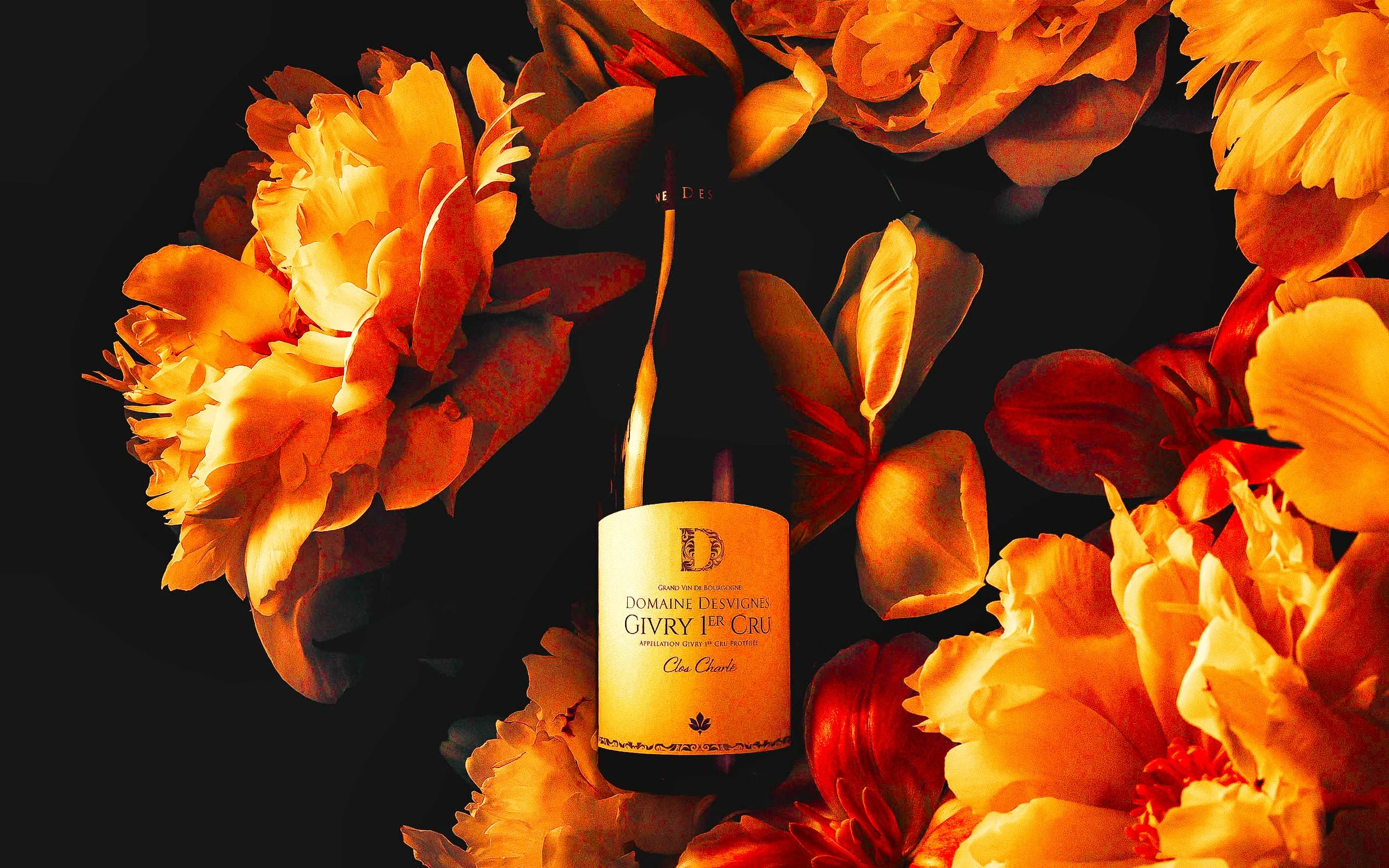 DESIVGNES-IMAGE-ACCUEIL-05-2 Luminar.jpg