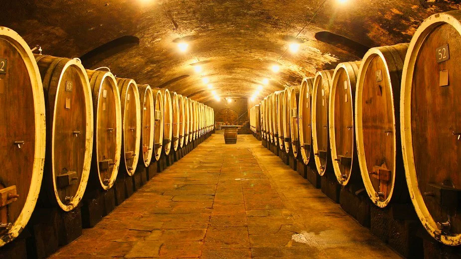 barrel cellar Dr.Buerklin_Wolf.jpeg