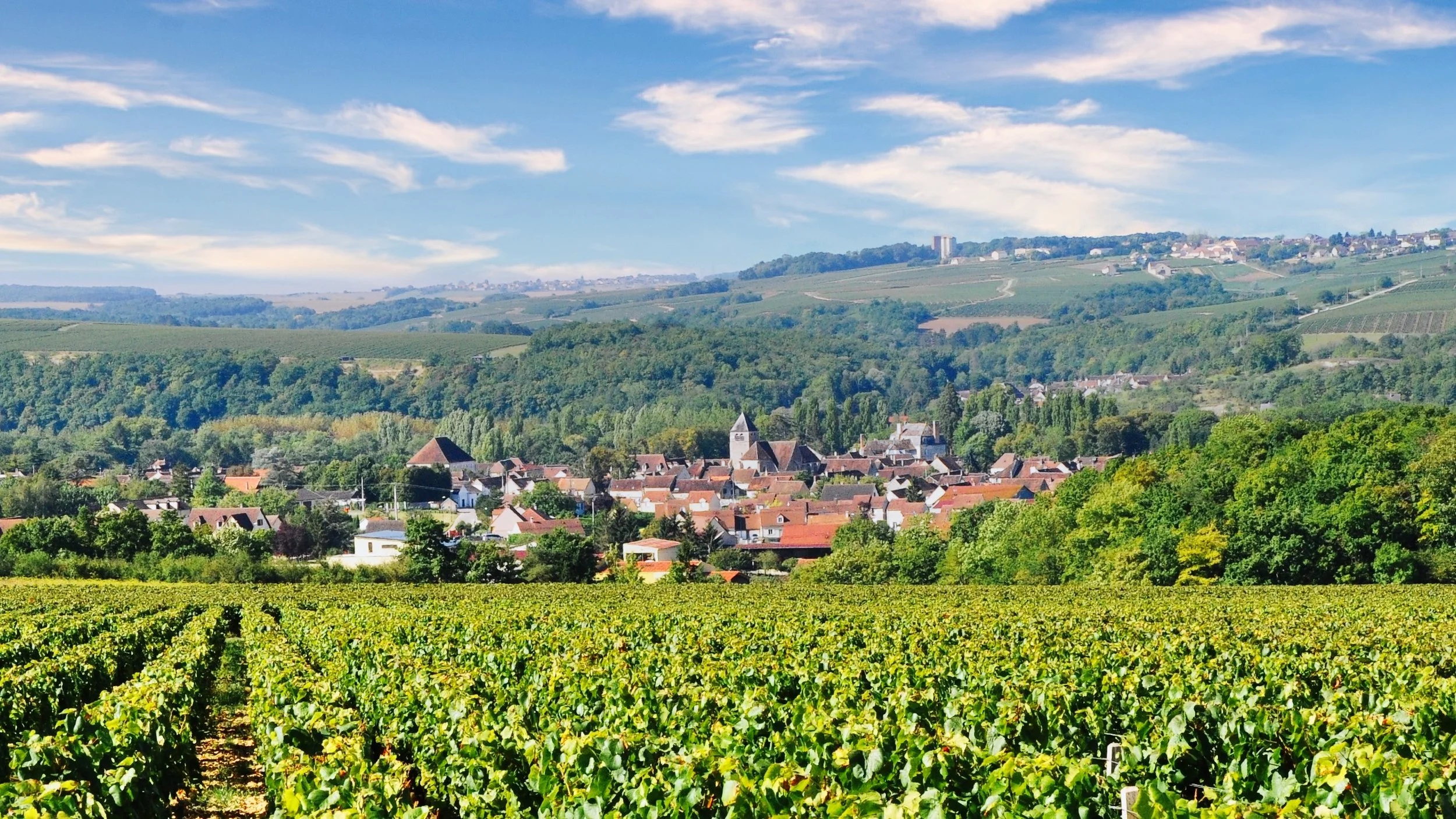 PHOTO - LES HATES - 7 Edit.jpeg