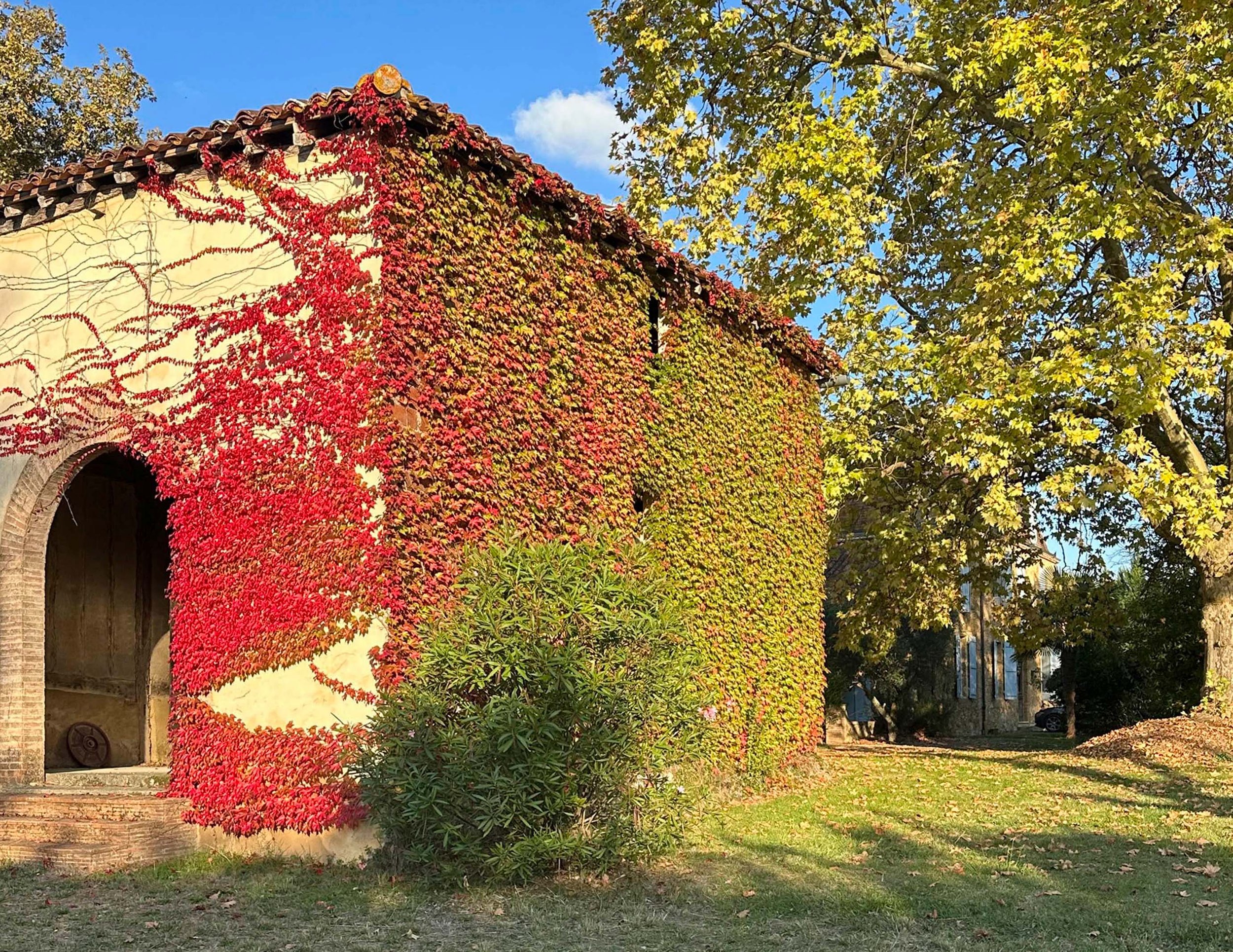 Loujan Garden edit2.jpg