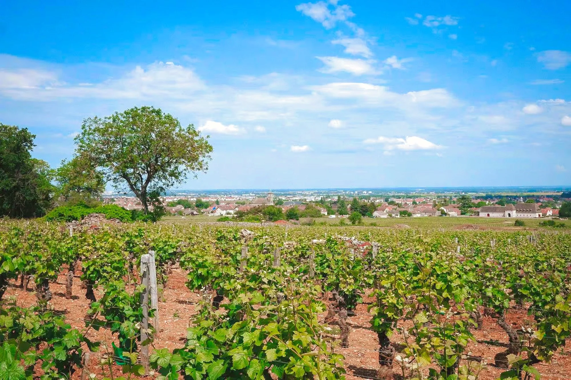 notre-domaine-min copy3.jpeg