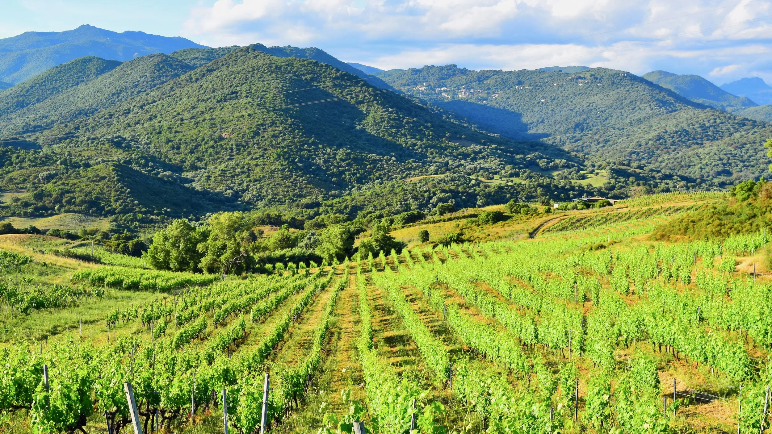 France Trip May 2025 - 1 of 1.jpeg