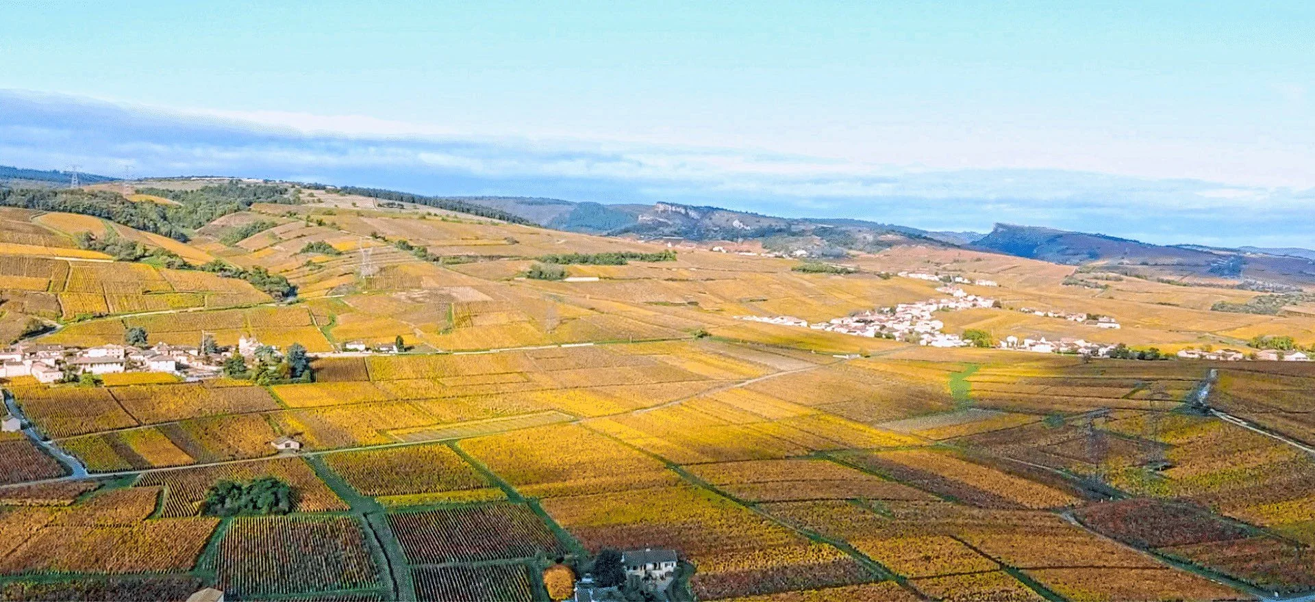 Drone View Luminar Edit Detail.jpeg