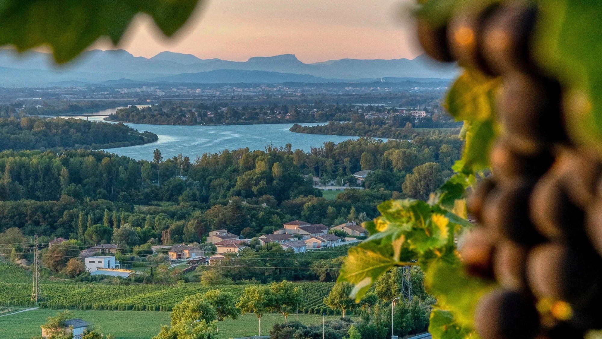 DSC_7949 edit 16-9 crop.jpeg