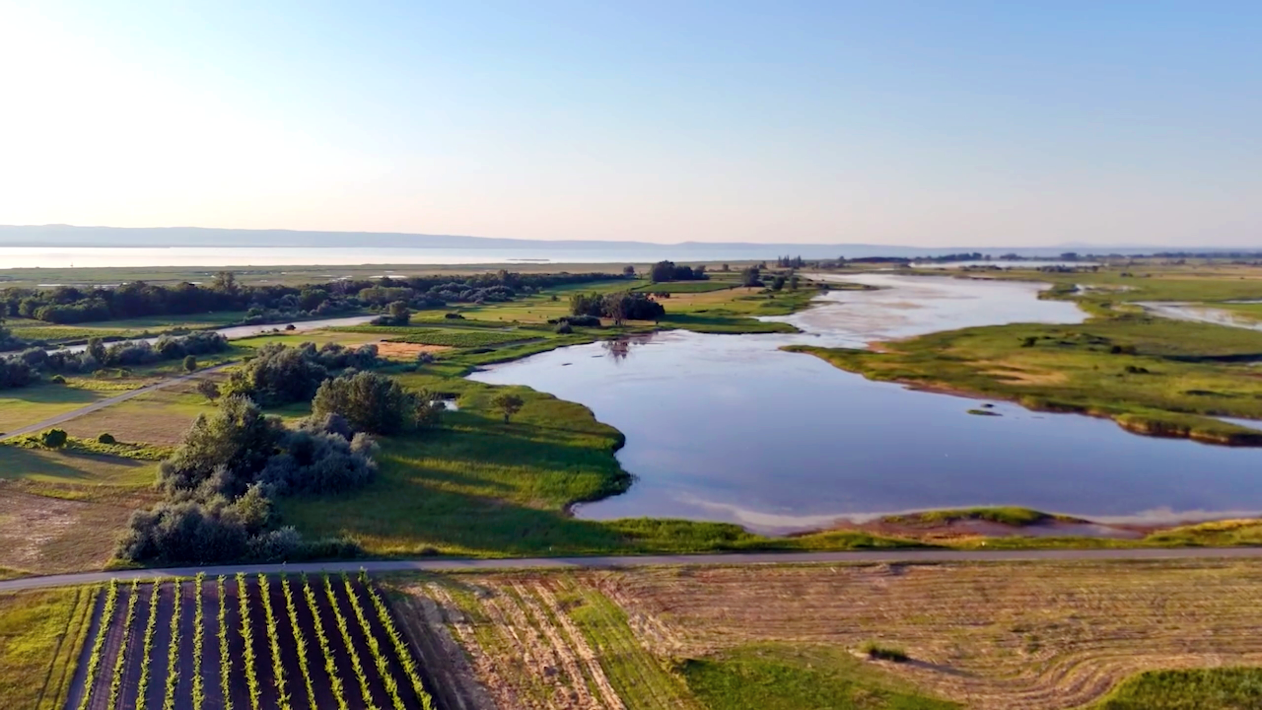 Lakes Neusiedl.png