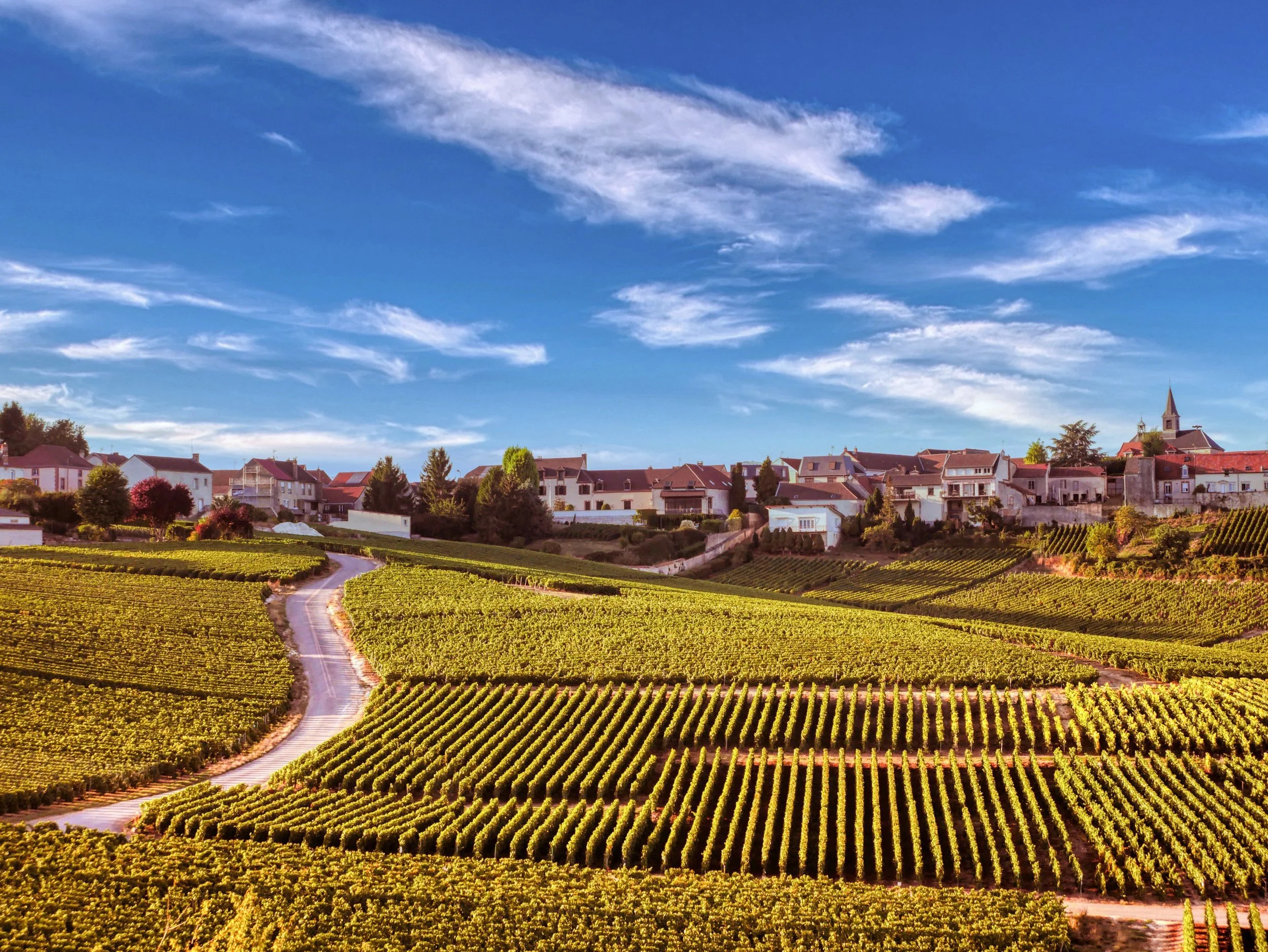 P1010363 aurora2.jpeg